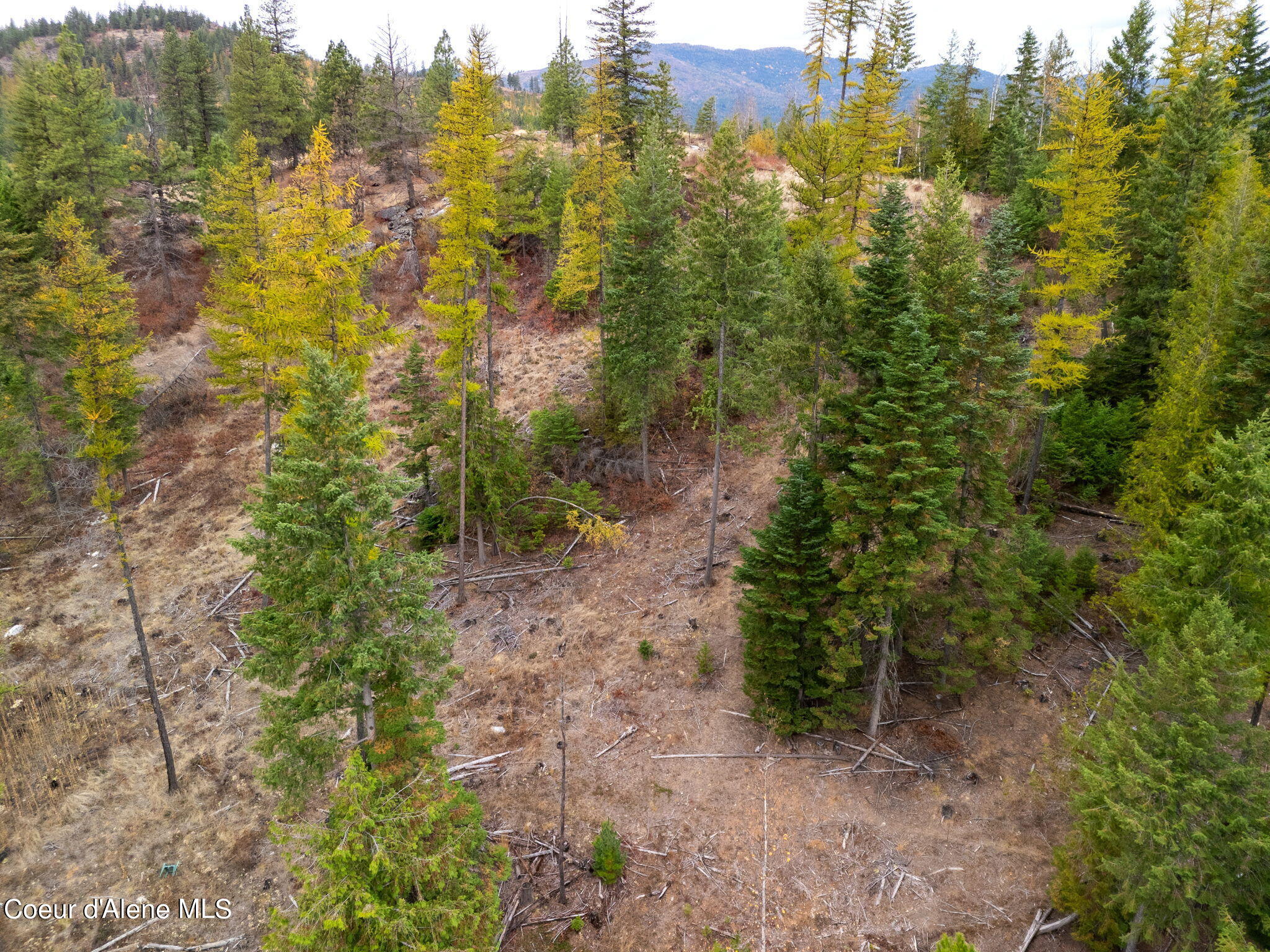 NNA Jewel Lake, Sagle, Idaho image 12