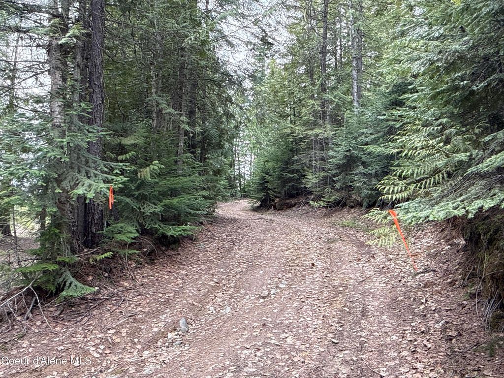 Photo of 1094 Spirit Wolf TRL, Sandpoint, ID 83864 (MLS # 26-4416)