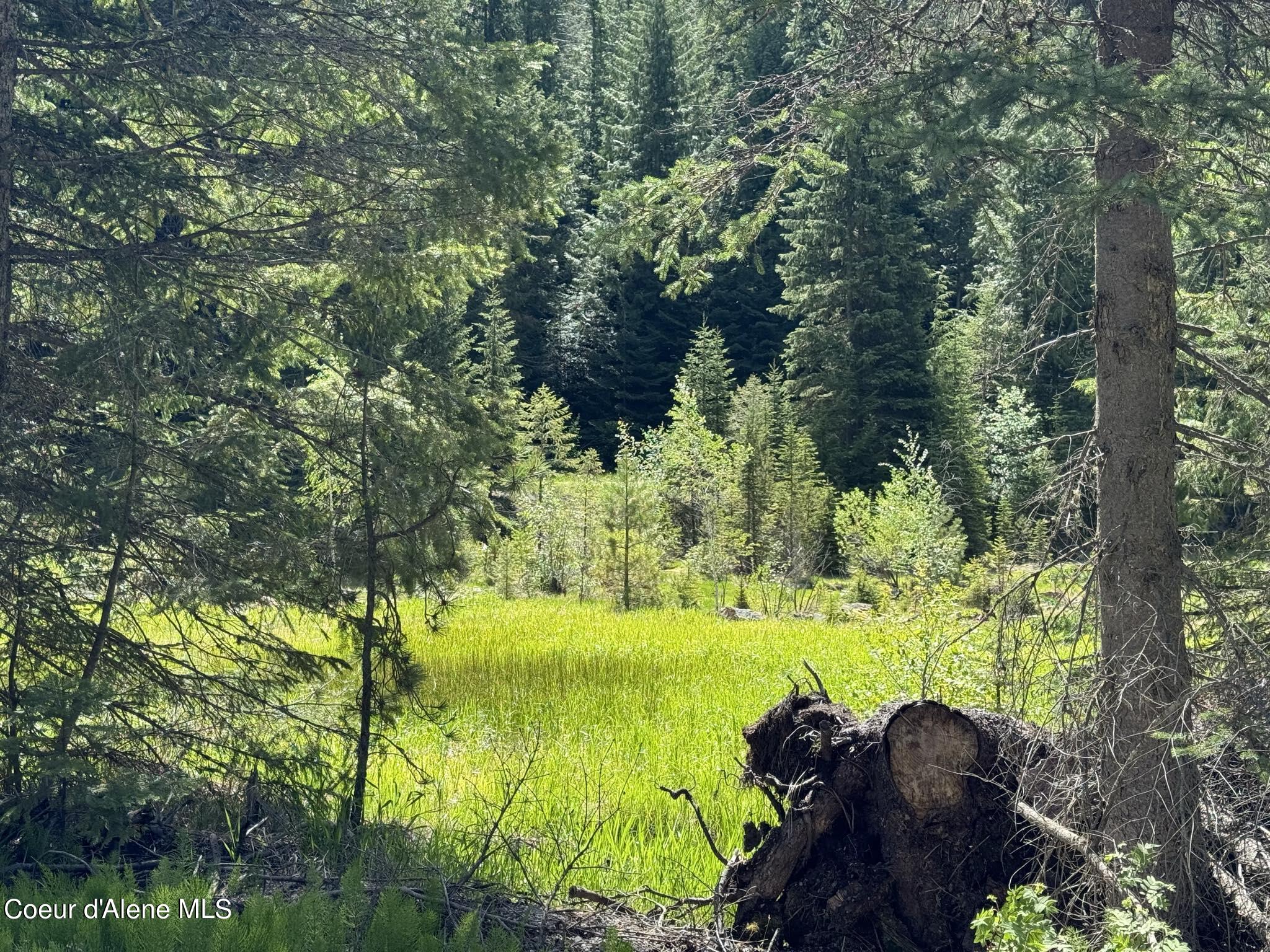 34a 9 Mile Creek, Wallace, Idaho image 3