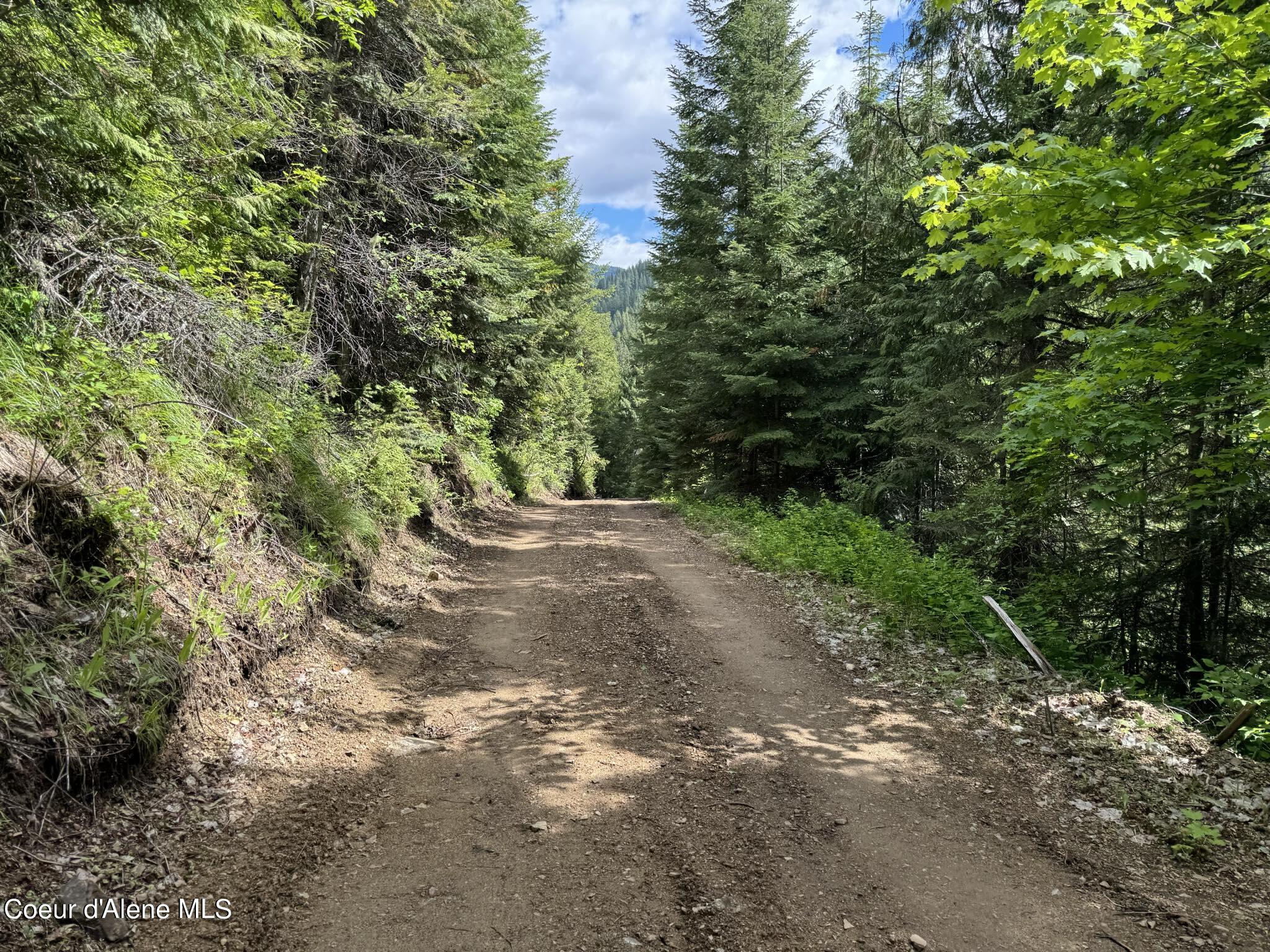 34a 9 Mile Creek, Wallace, Idaho image 6