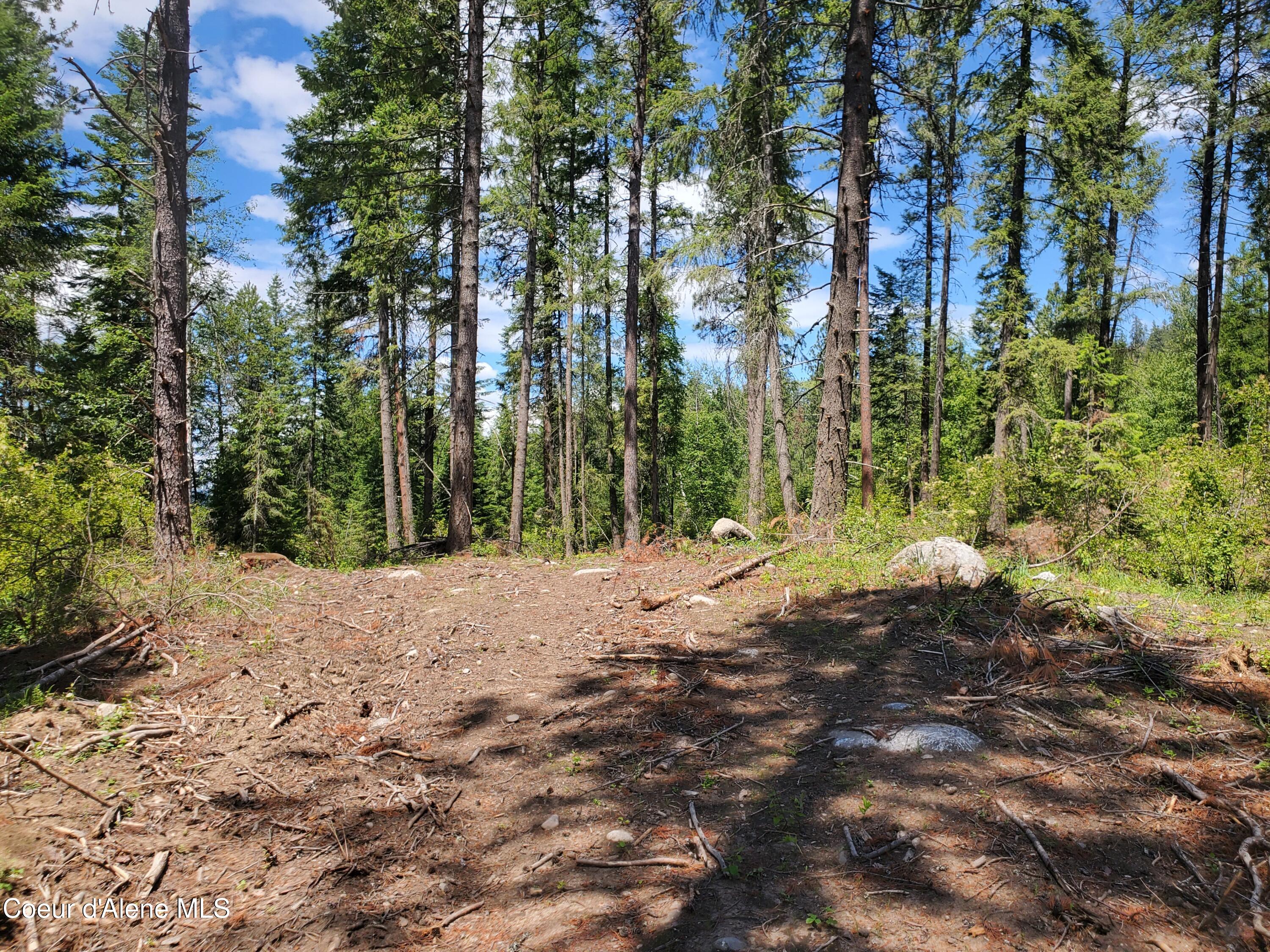 NNA Lot 2 Bloom Farm Rd, Sagle, Texas image 8