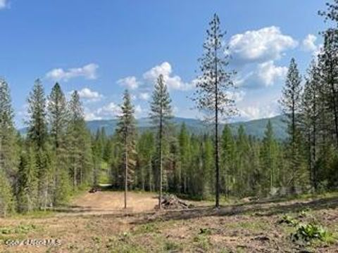Vacant Land For Sale - NKA Meadowland<br/> Blanchard, ID 83804