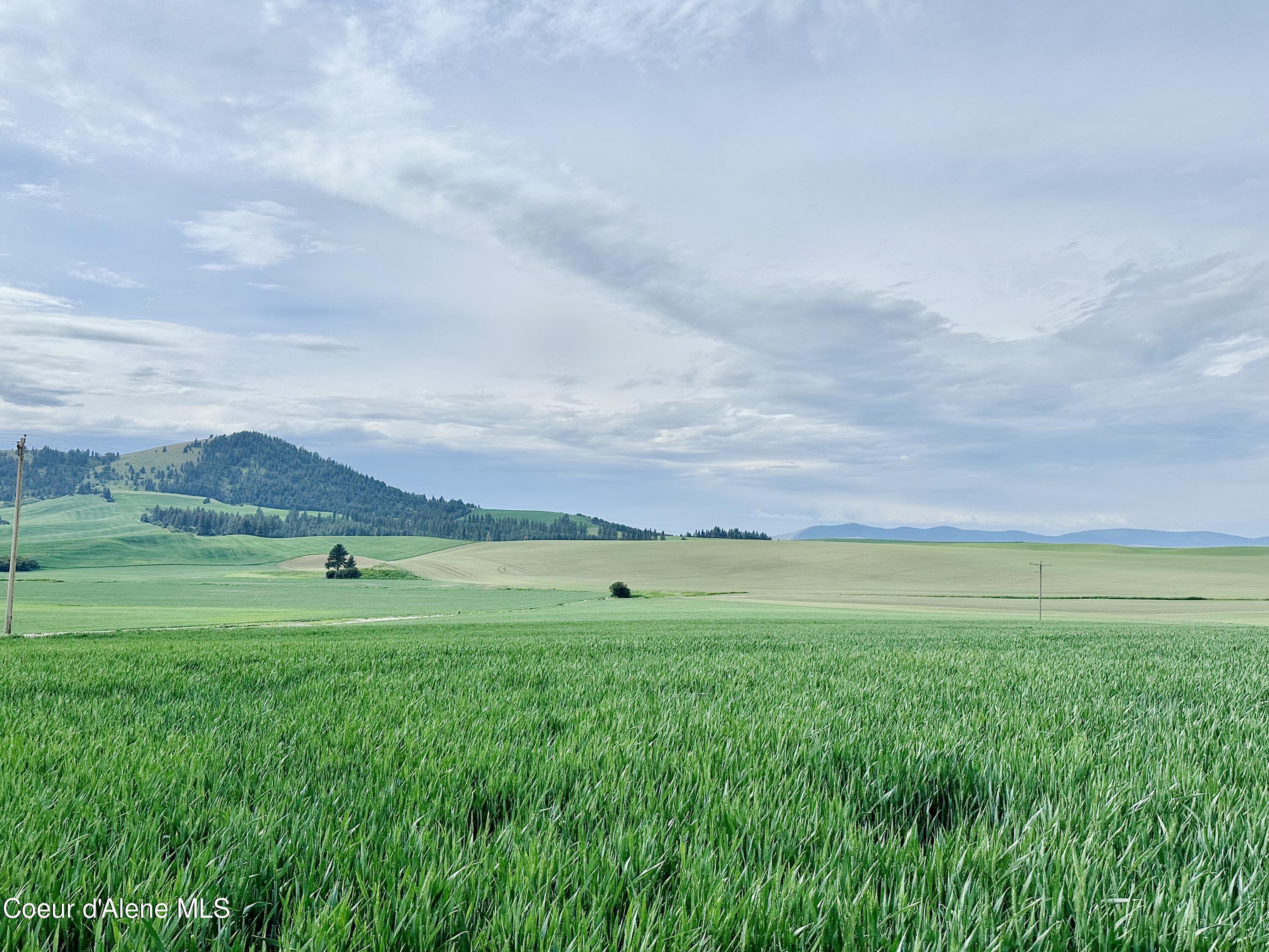 783 Old Mills, Desmet, Idaho image 4