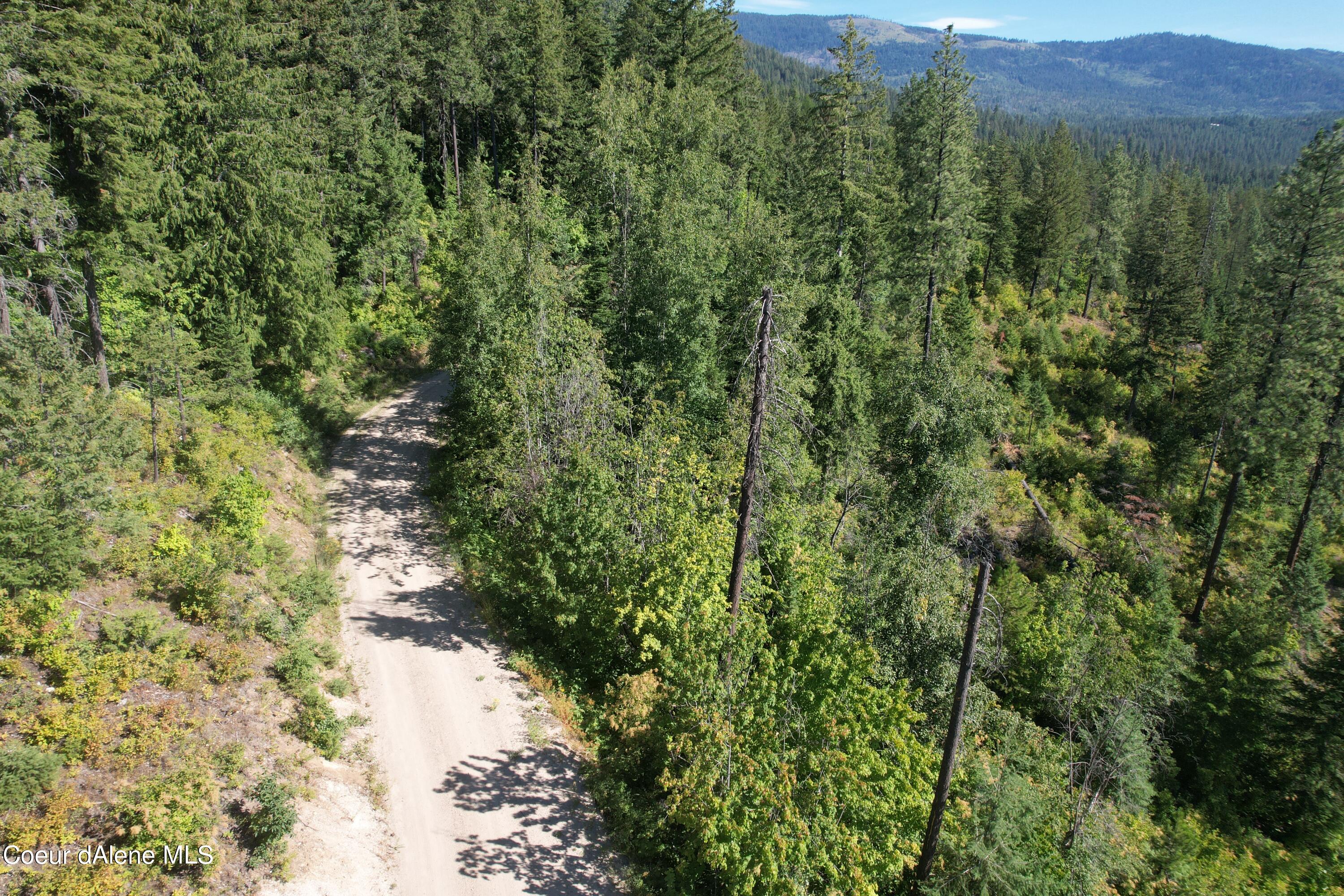 2500 Carr Creek, Sandpoint, Idaho image 8