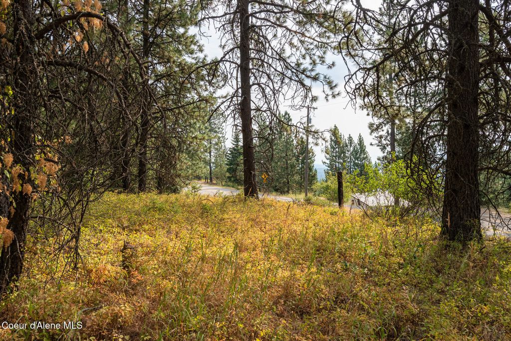 Photo of NKA Crystal Springs Ln Ln, Rathdrum, ID 83858 (MLS # 25-9994)