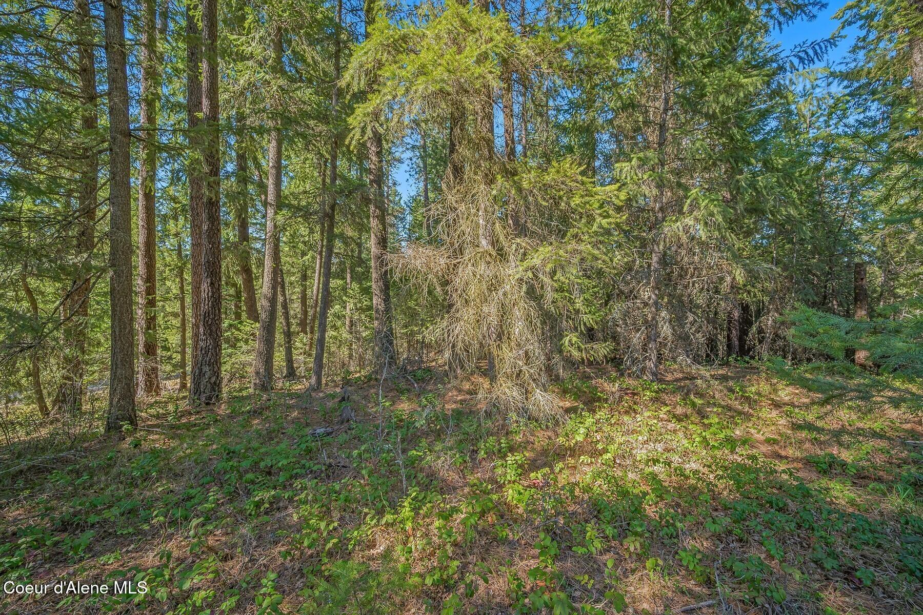 NNA Lot 13 Swan Shores Drive, Sagle, Idaho image 19