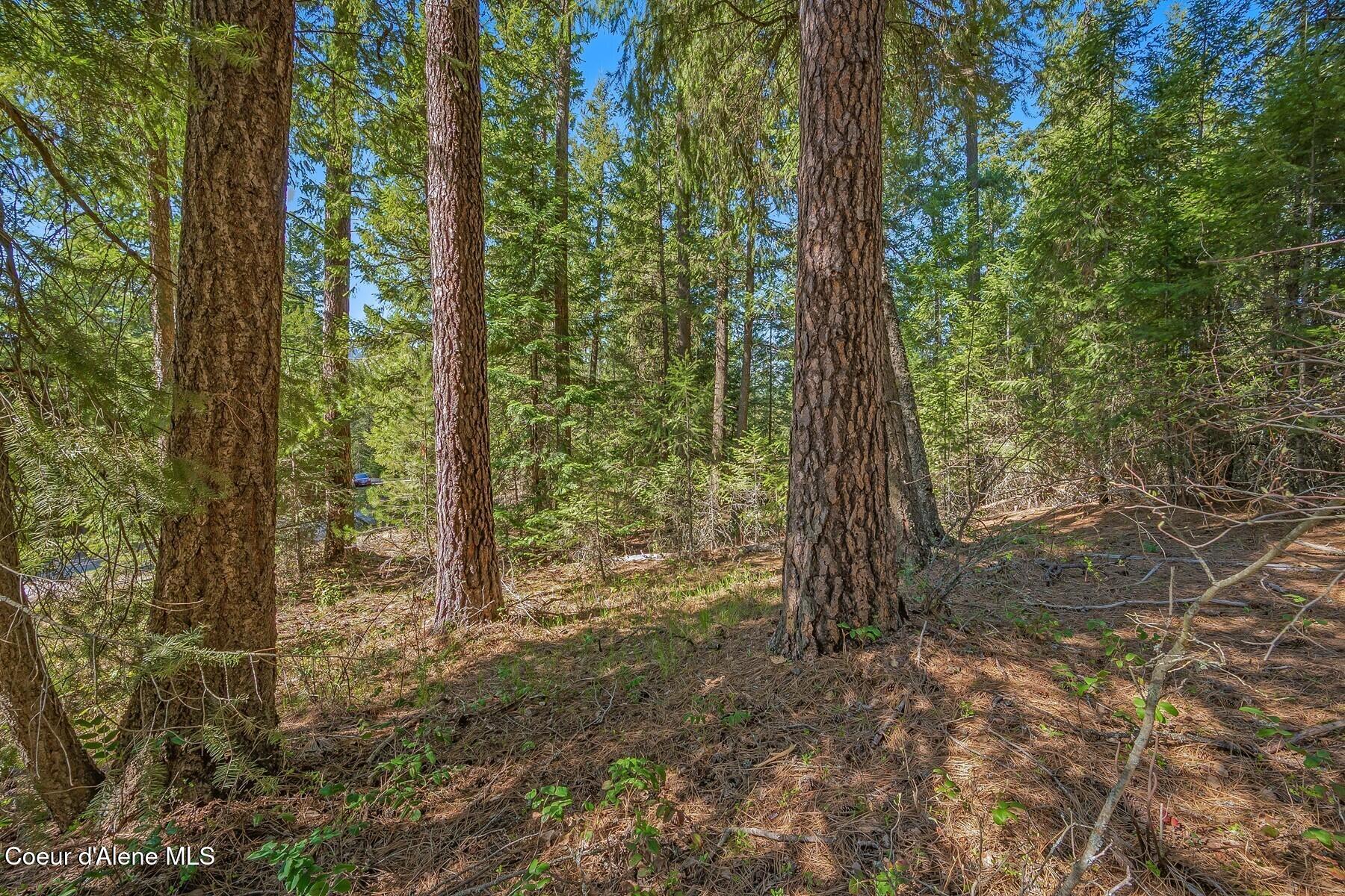 NNA Lot 13 Swan Shores Drive, Sagle, Idaho image 23