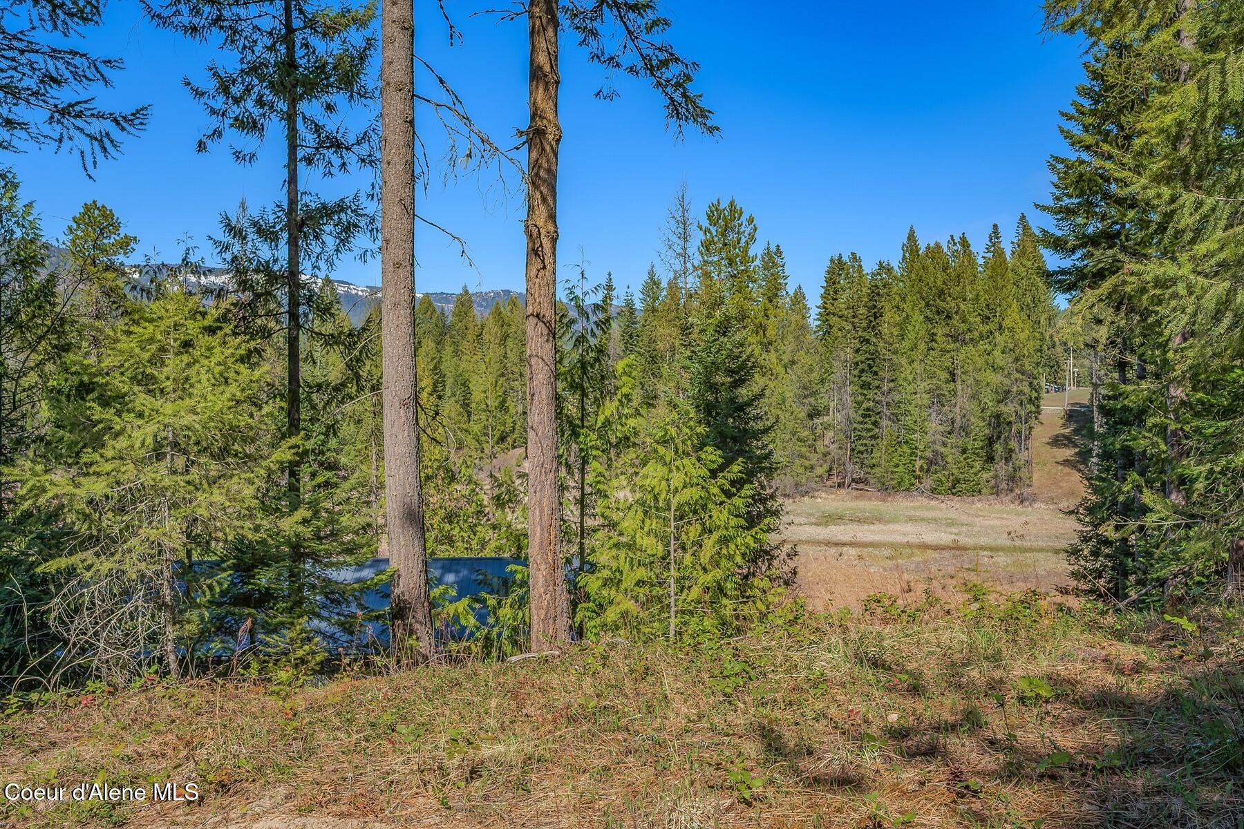 NNA Lot 13 Swan Shores Drive, Sagle, Idaho image 1