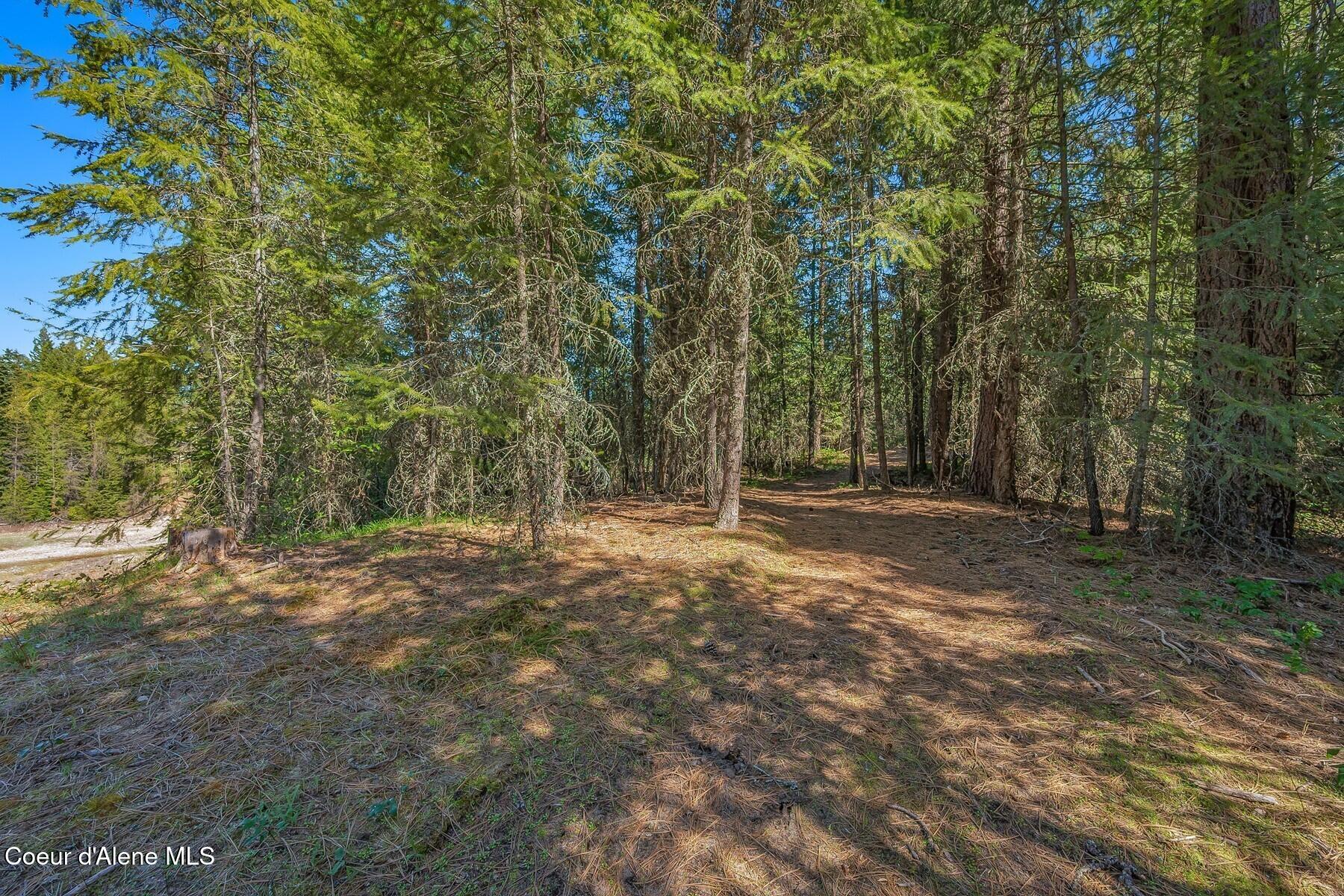 NNA Lot 13 Swan Shores Drive, Sagle, Idaho image 13