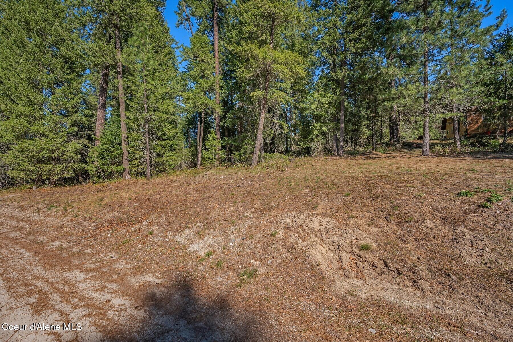 NNA Lot 13 Swan Shores Drive, Sagle, Idaho image 11