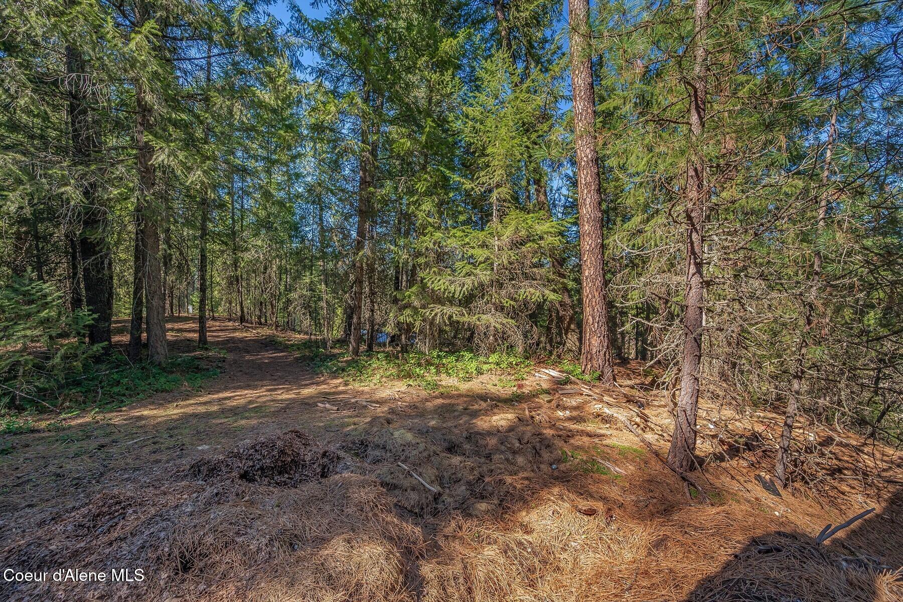 NNA Lot 13 Swan Shores Drive, Sagle, Idaho image 15