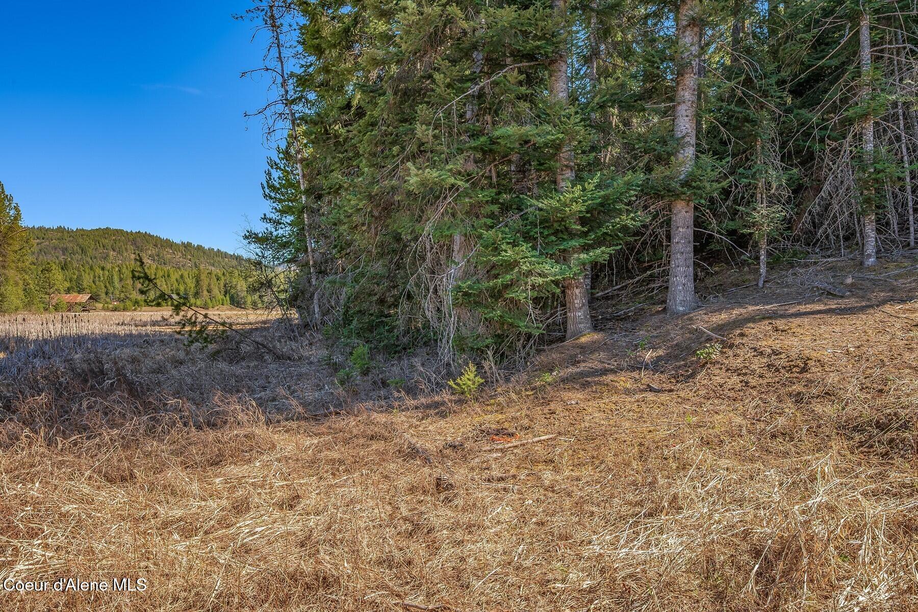 NNA Lot 13 Swan Shores Drive, Sagle, Idaho image 16