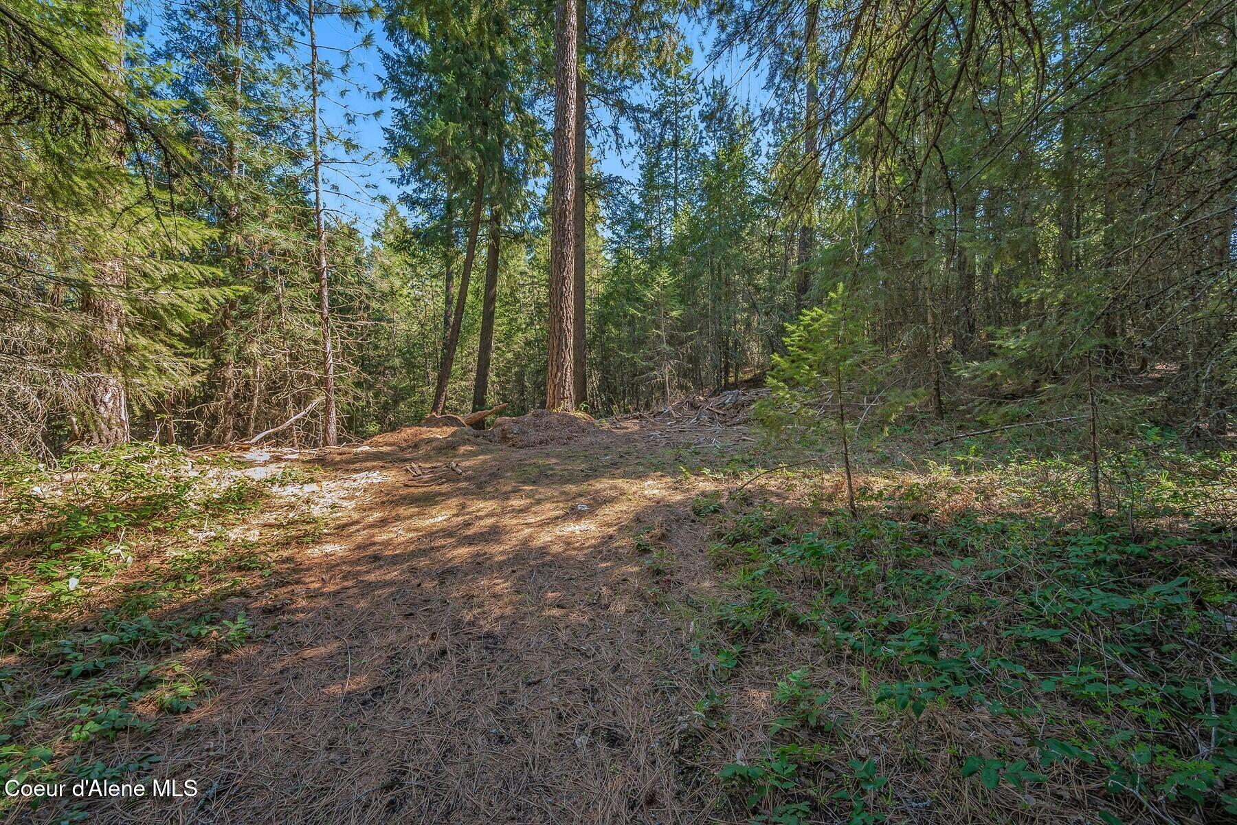 NNA Lot 13 Swan Shores Drive, Sagle, Idaho image 12