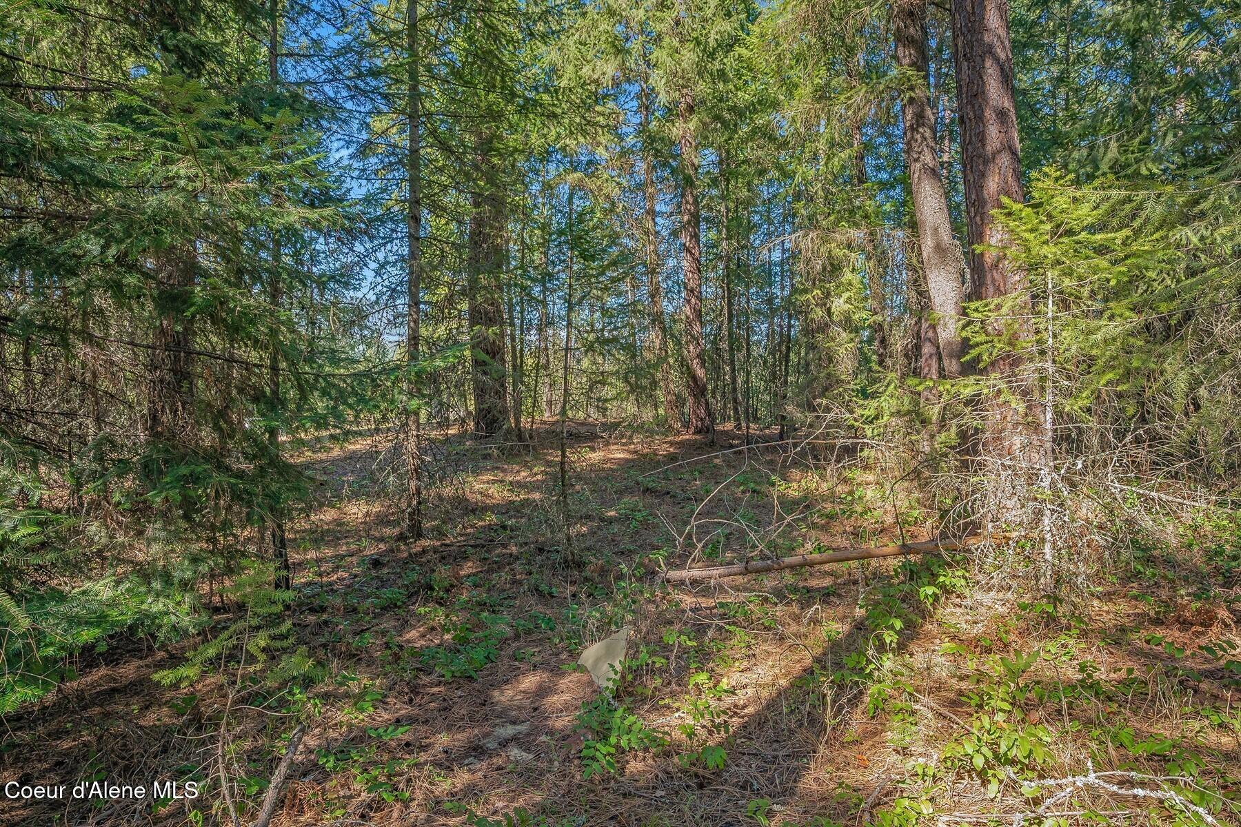 NNA Lot 13 Swan Shores Drive, Sagle, Idaho image 24