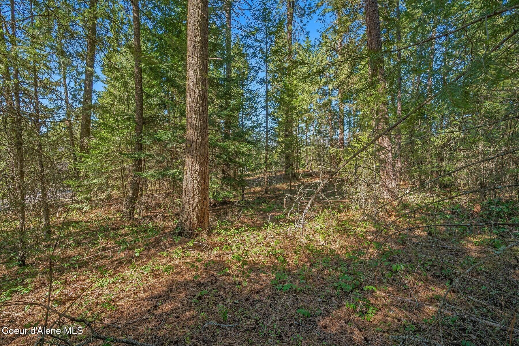 NNA Lot 13 Swan Shores Drive, Sagle, Idaho image 20