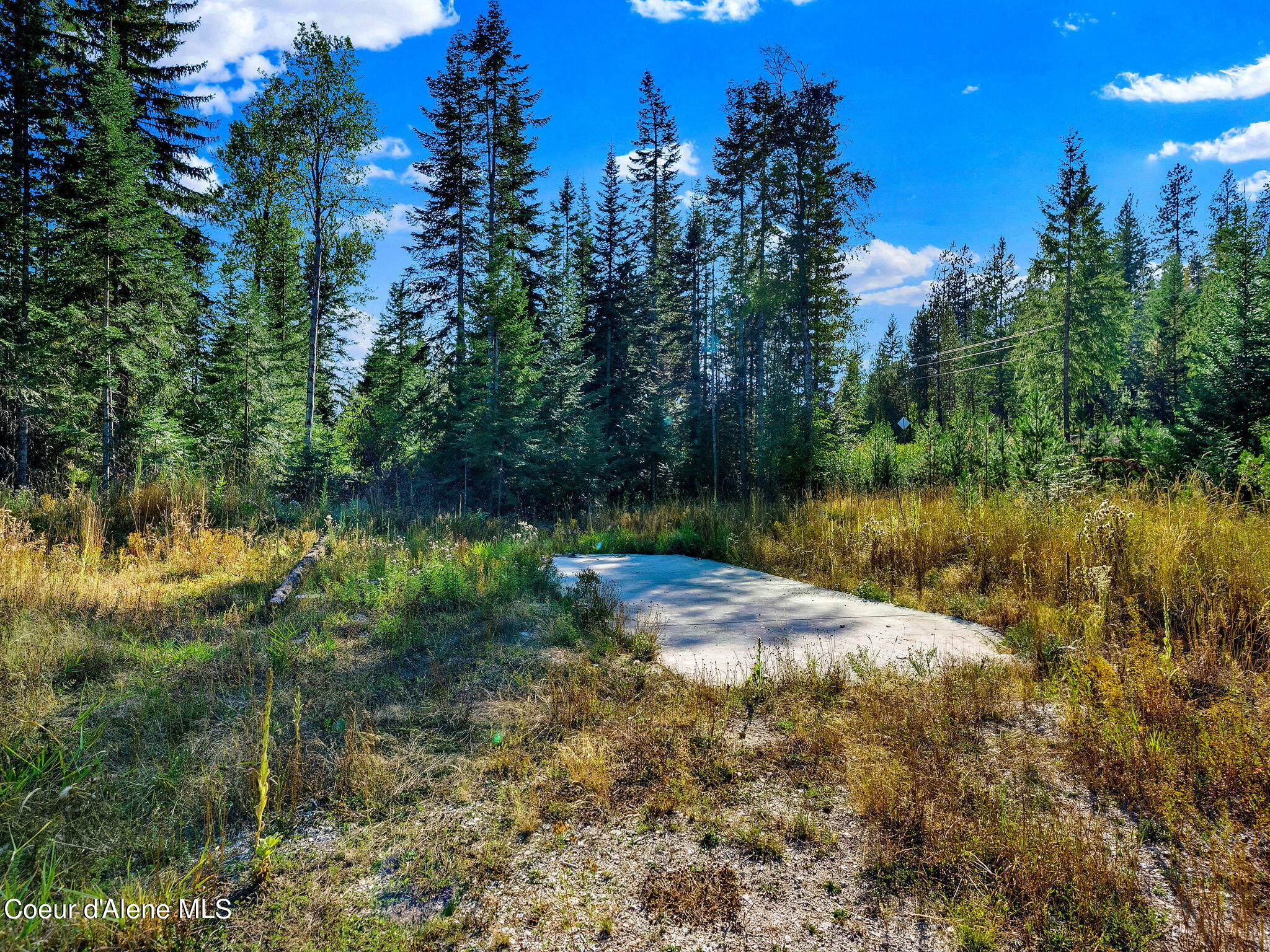 24 S Little Blacktail Mountain, Careywood, Idaho image 8