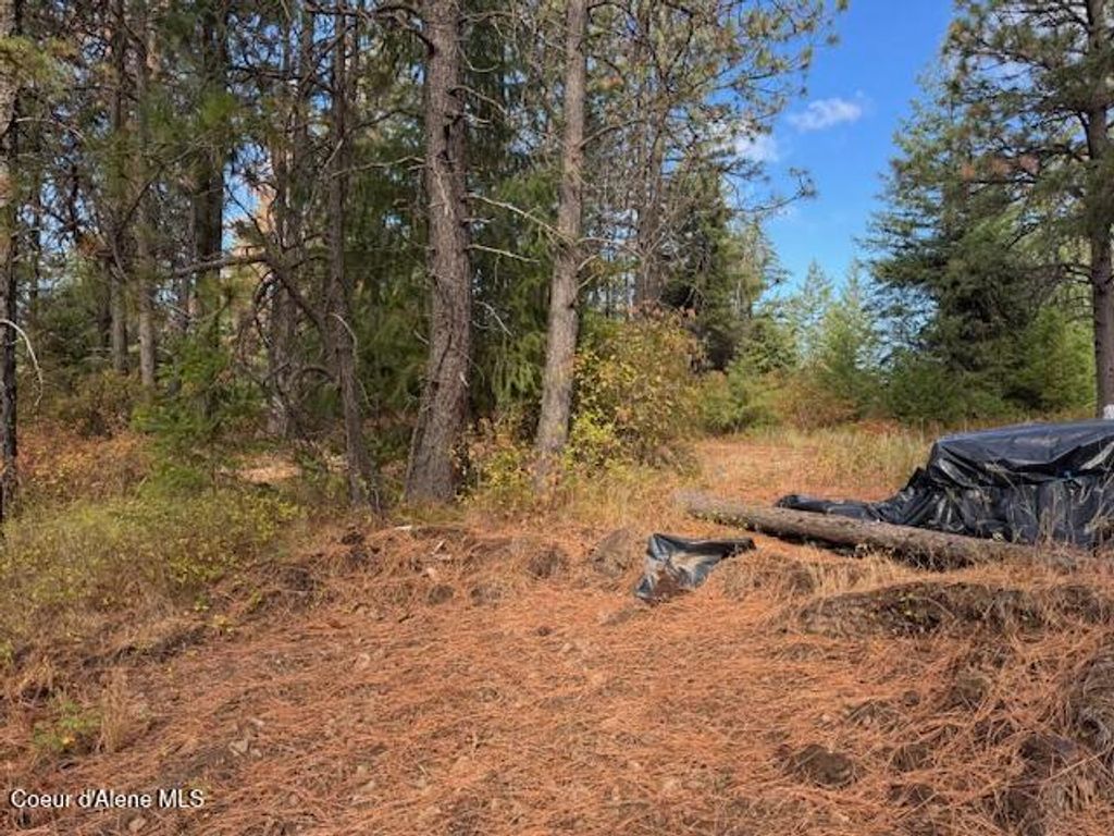 Photo of NKA 40 Acres Dole Camp Road Road, Tensed, ID 83870 (MLS # 25-10077)