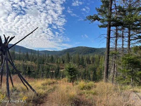 Vacant Land For Sale - NKA 40 Acres Dole Camp Road Road<br/> Tensed, ID 83870