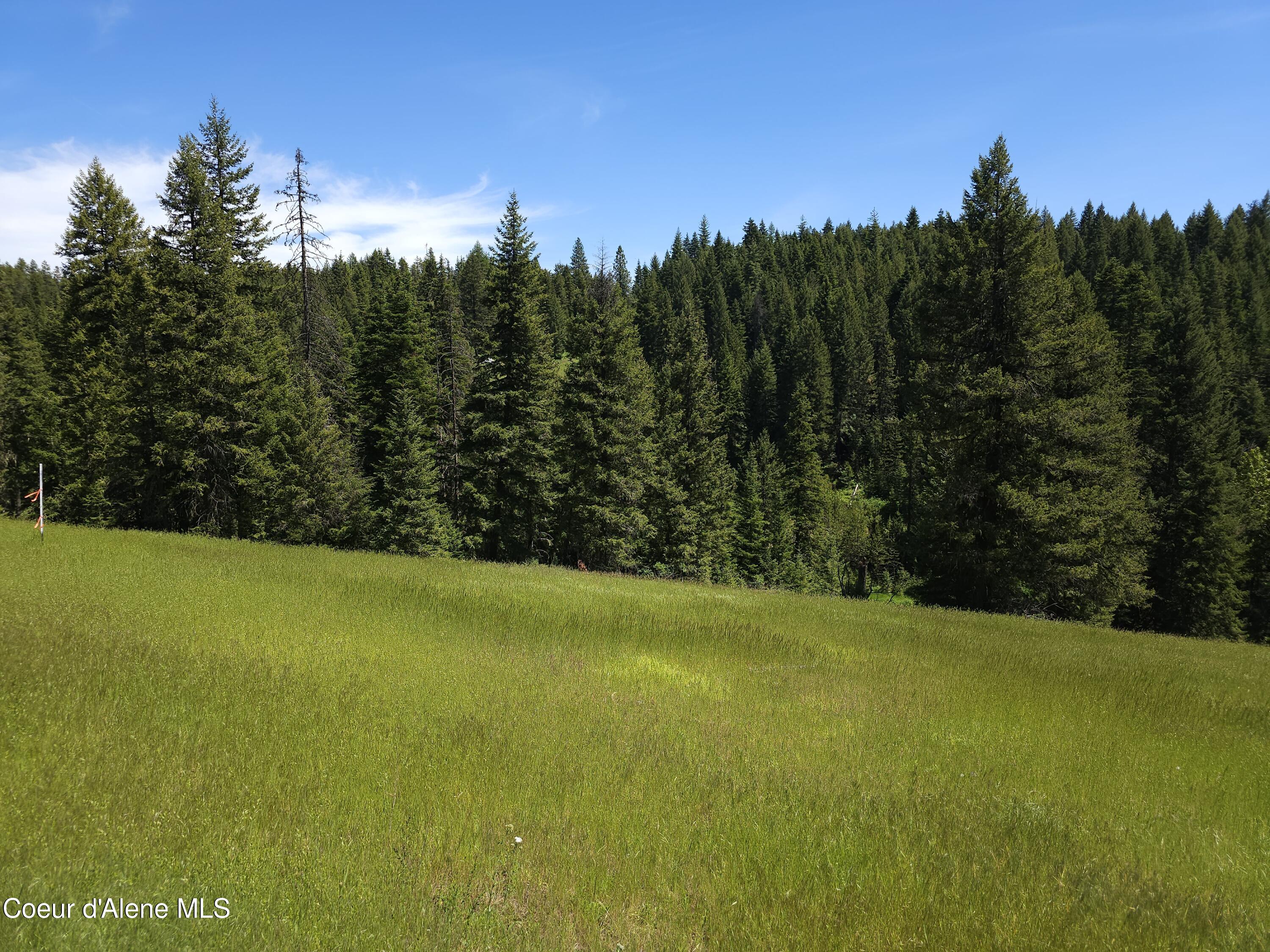 109 N Blue Skies Lane, Liberty Lake, Washington image 18