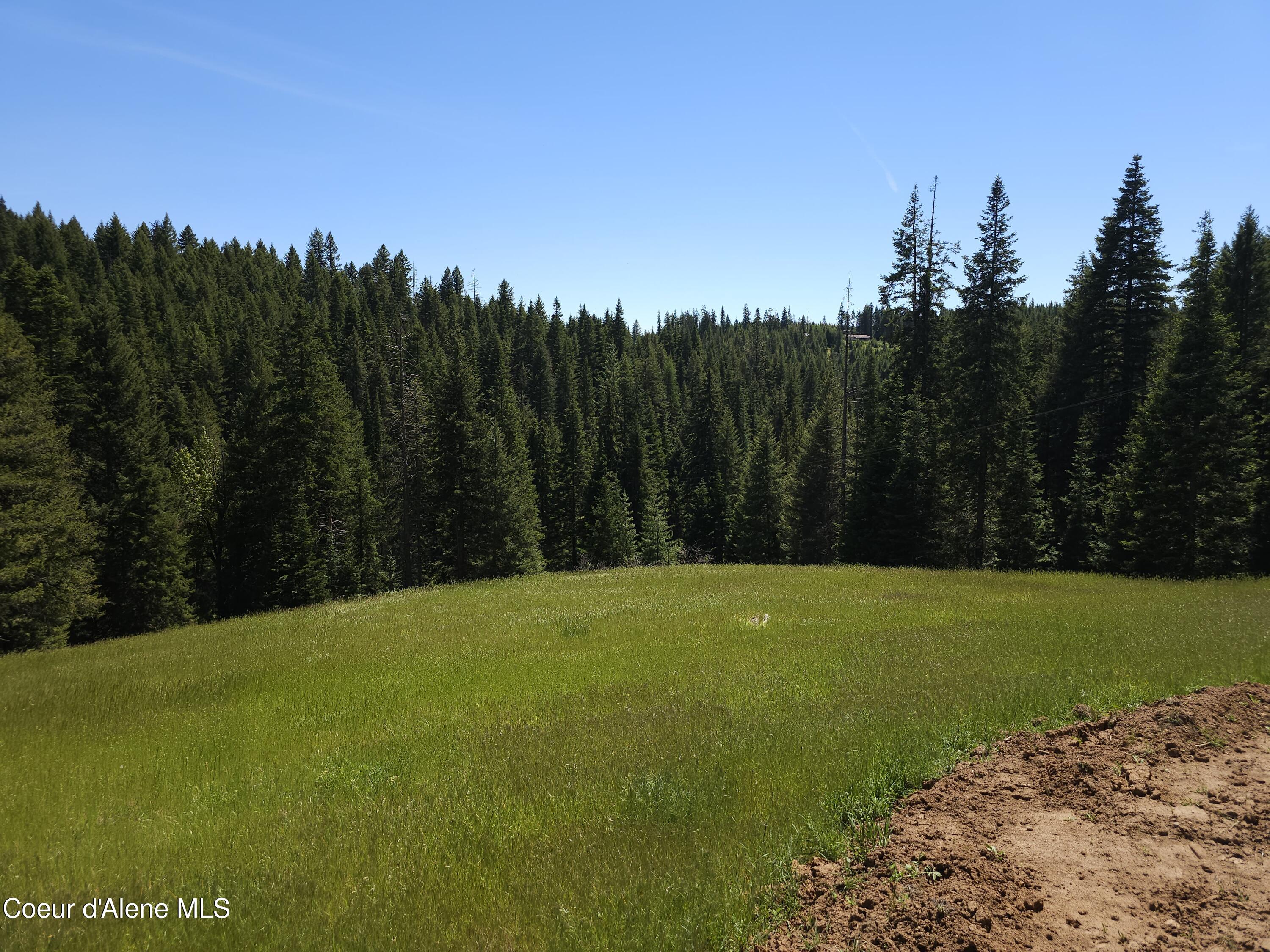 109 N Blue Skies Lane, Liberty Lake, Washington image 17