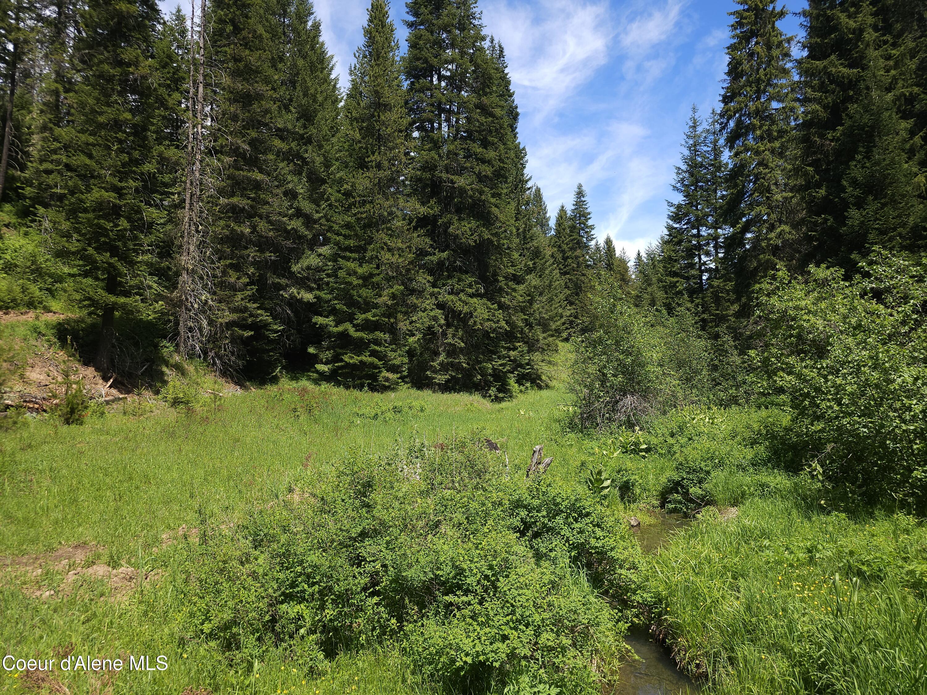 109 N Blue Skies Lane, Liberty Lake, Washington image 1