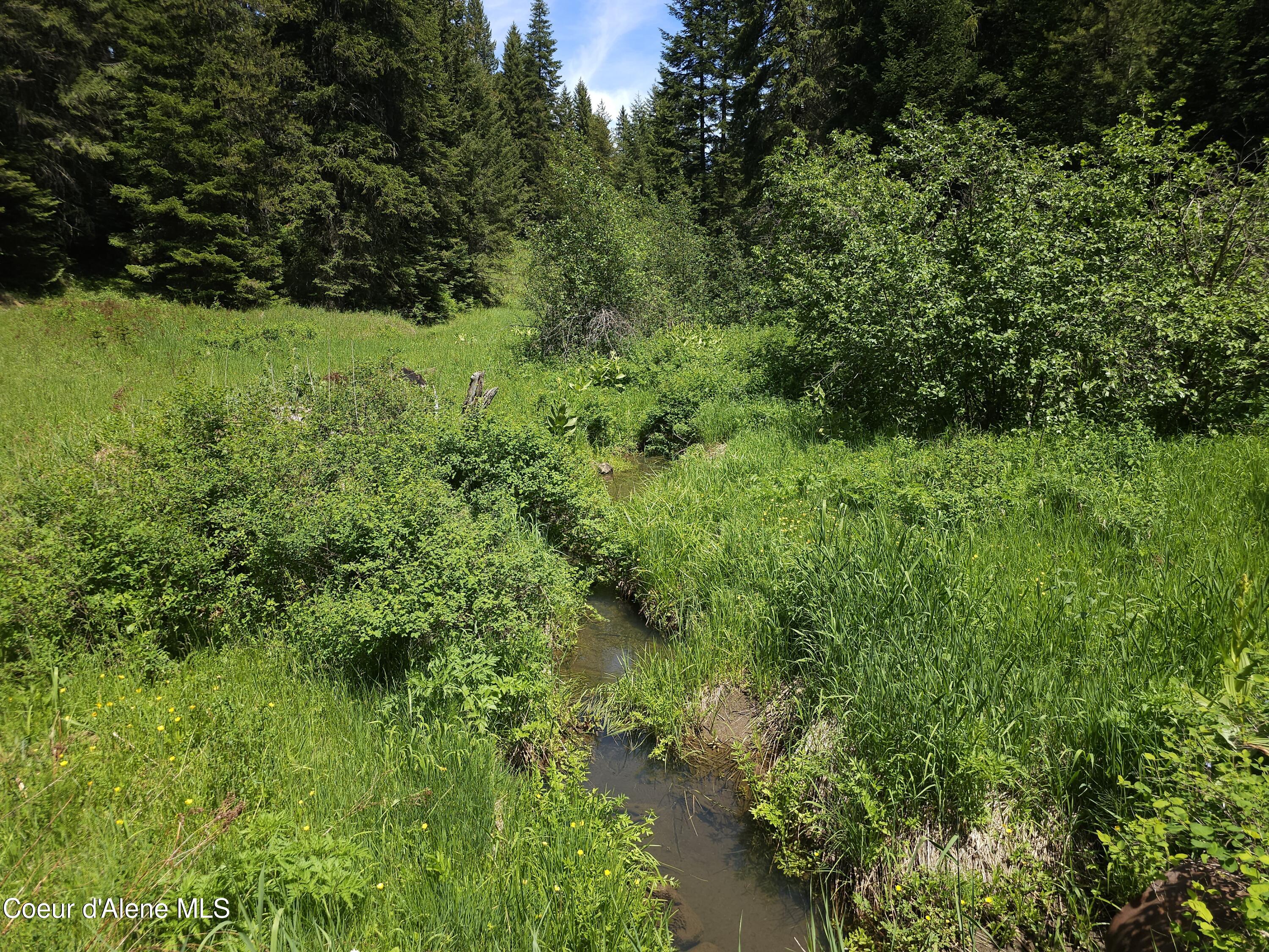 109 N Blue Skies Lane, Liberty Lake, Washington image 9