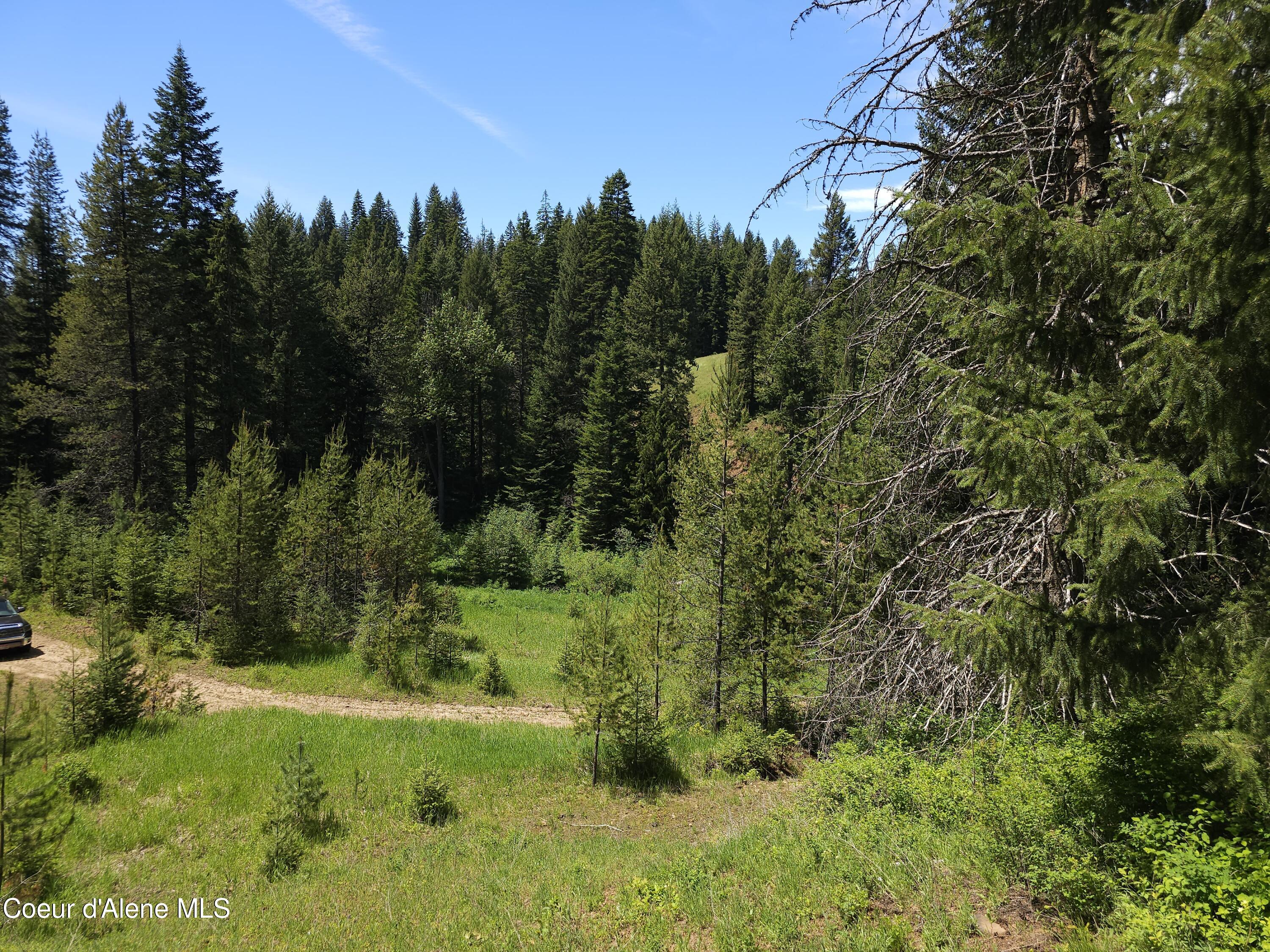 109 N Blue Skies Lane, Liberty Lake, Washington image 4