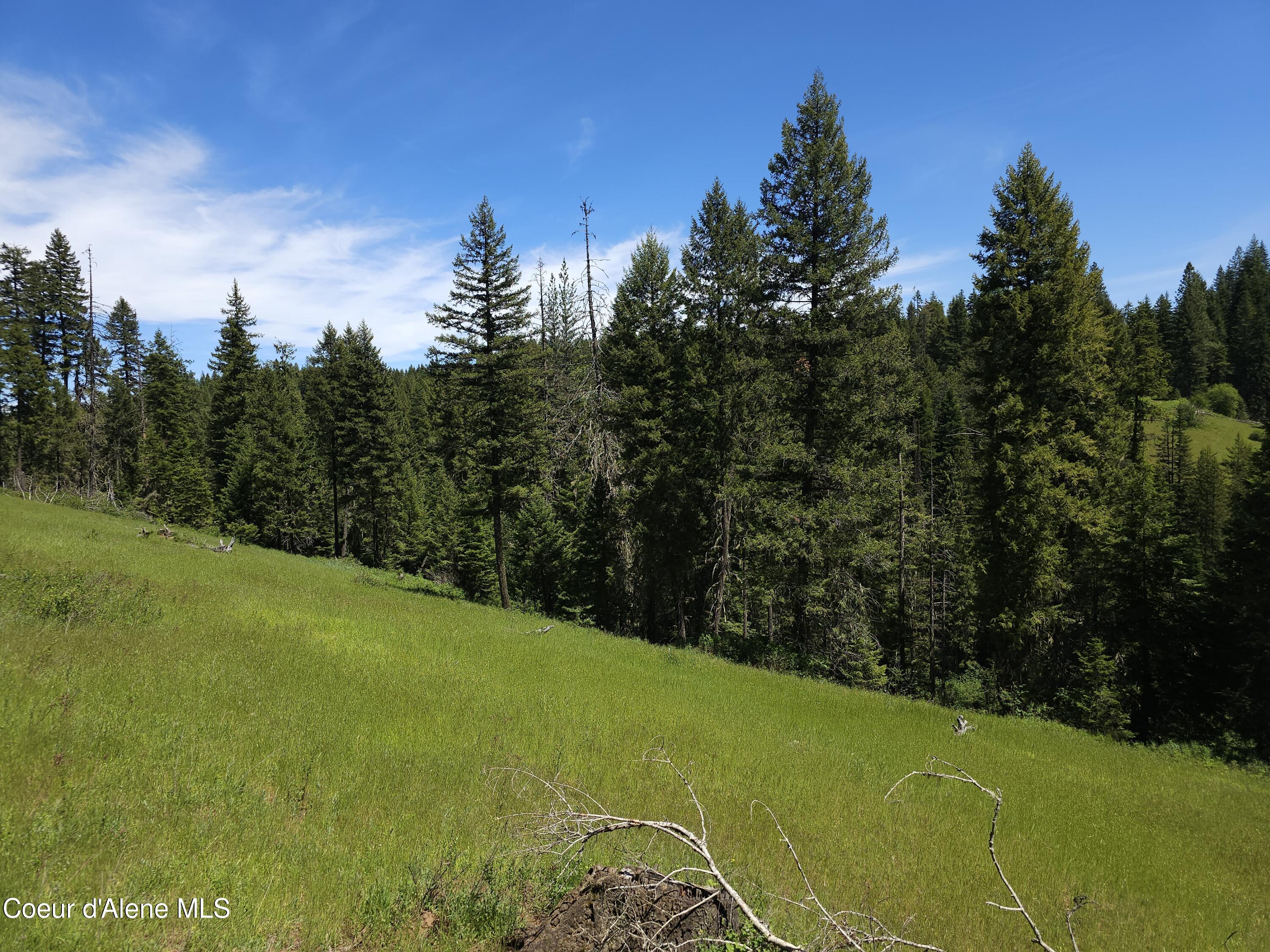 109 N Blue Skies Lane, Liberty Lake, Washington image 21