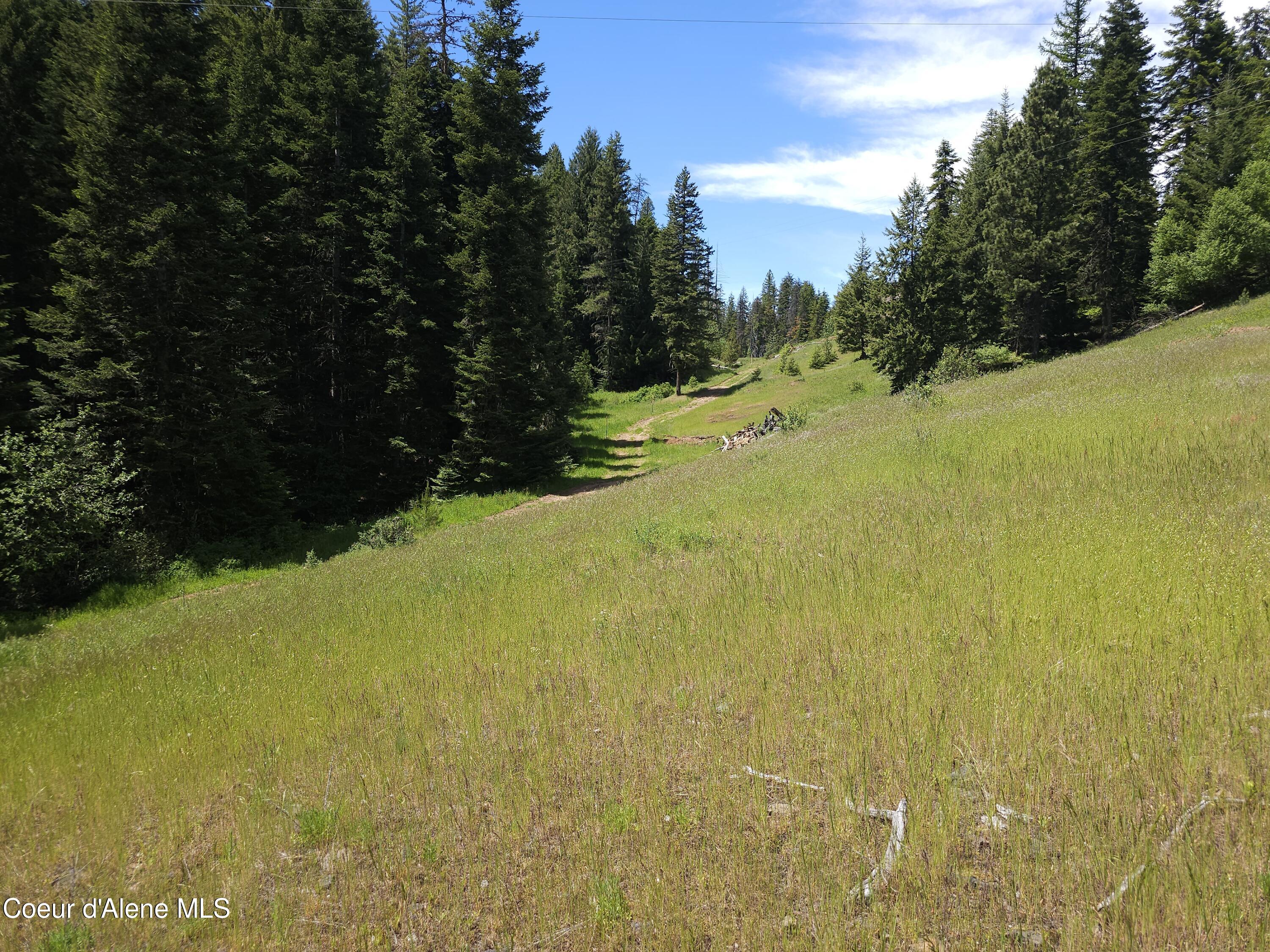 109 N Blue Skies Lane, Liberty Lake, Washington image 16