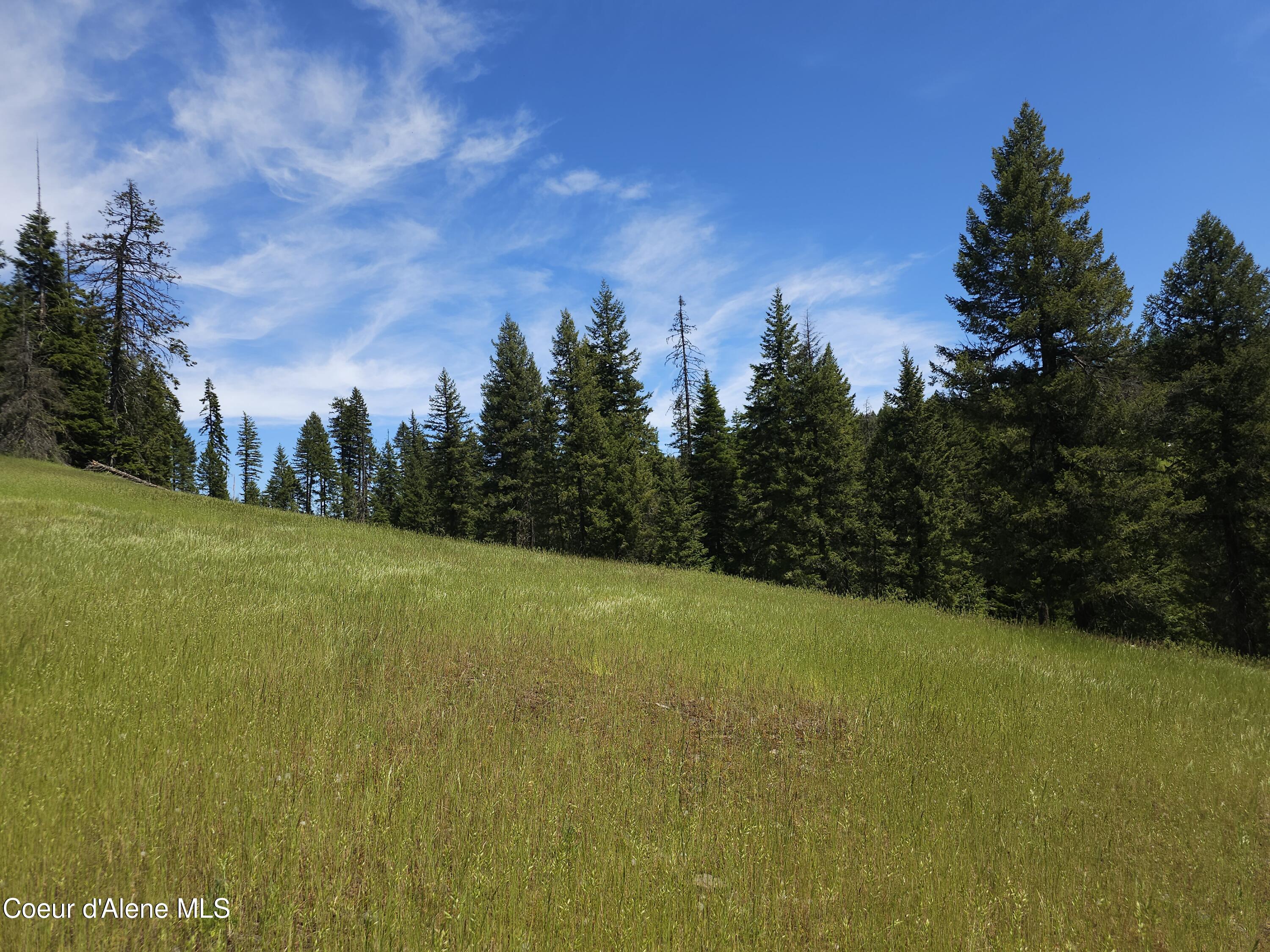 109 N Blue Skies Lane, Liberty Lake, Washington image 11