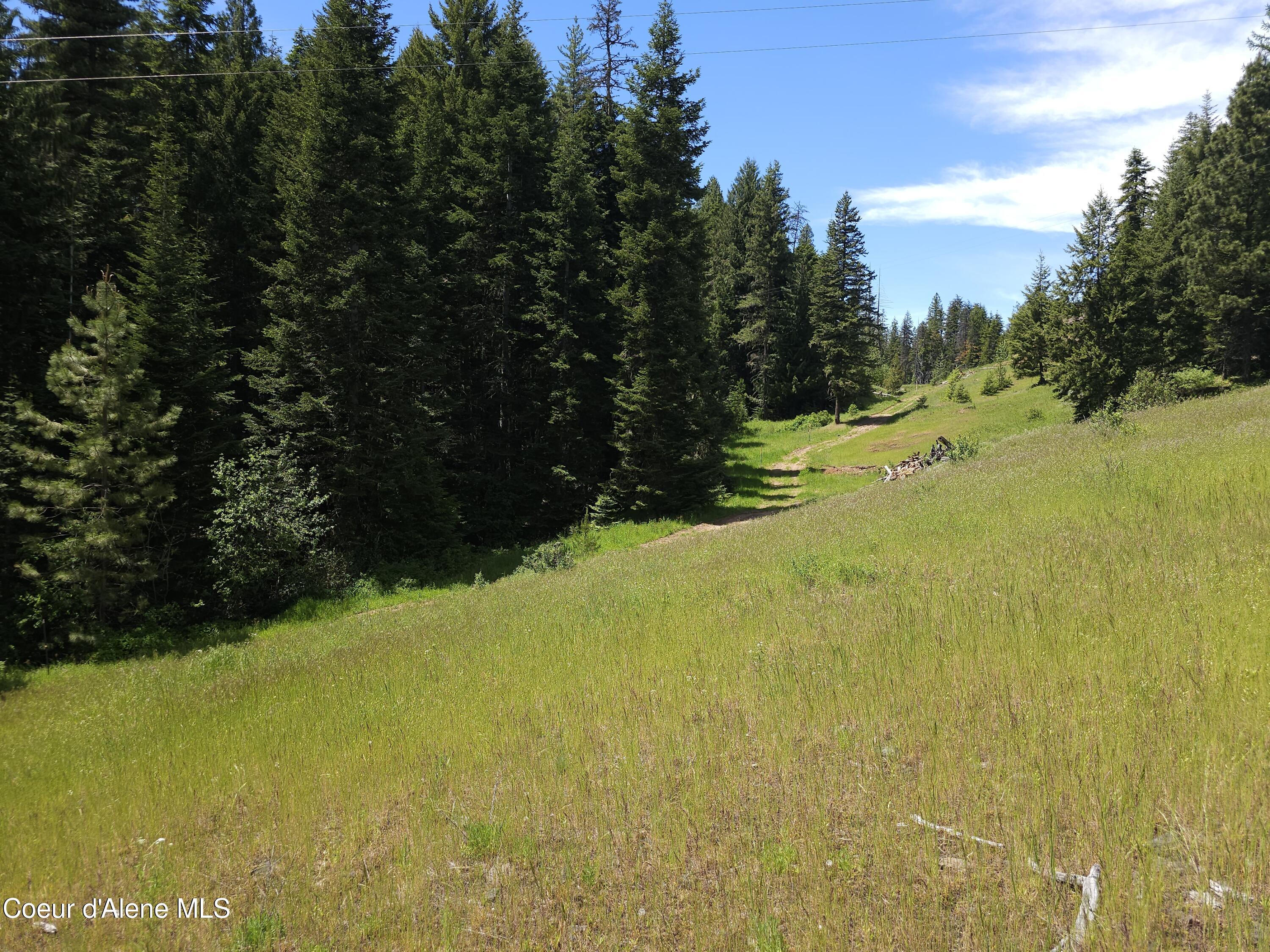 109 N Blue Skies Lane, Liberty Lake, Washington image 14