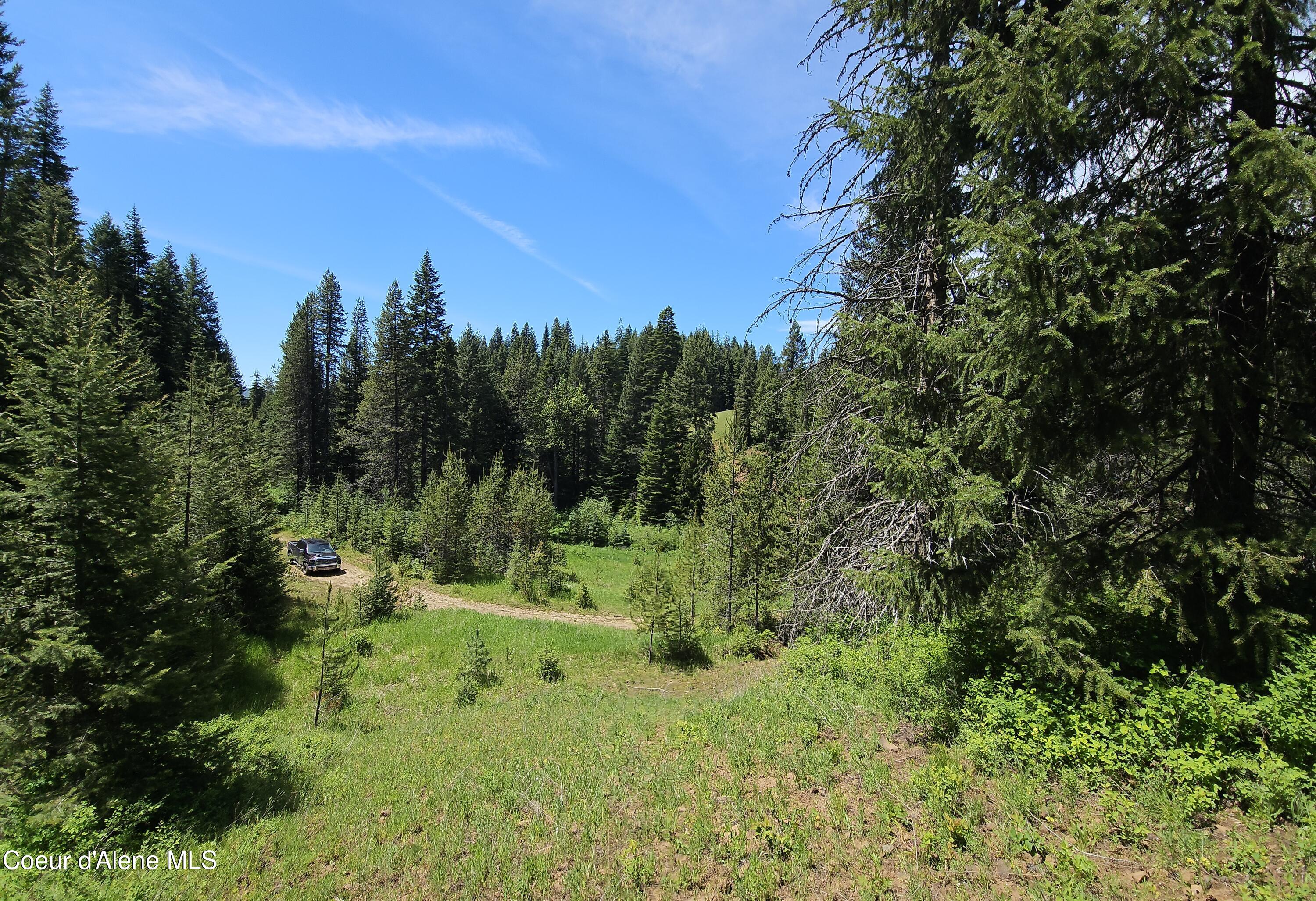 109 N Blue Skies Lane, Liberty Lake, Washington image 2