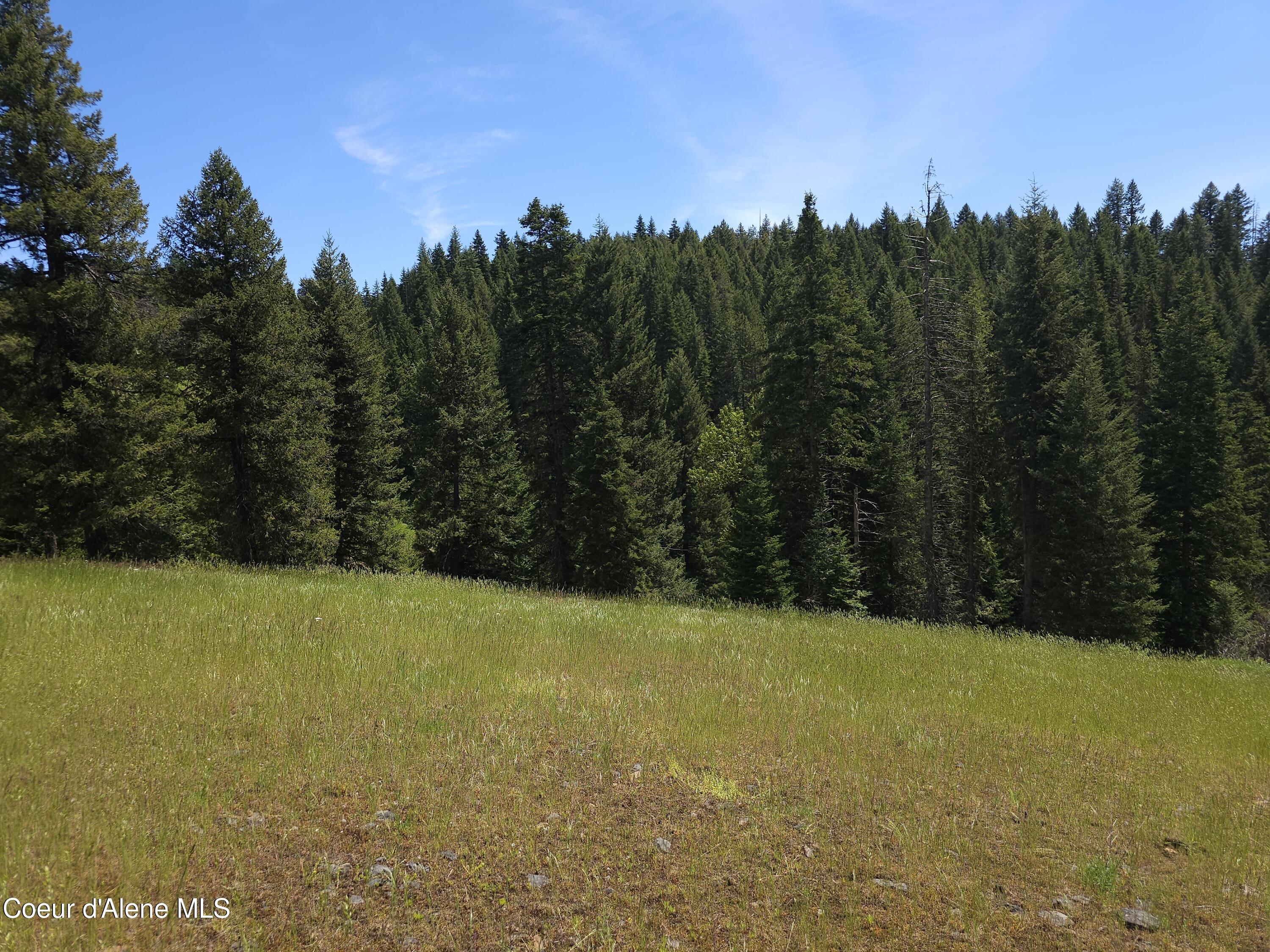 109 N Blue Skies Lane, Liberty Lake, Washington image 12