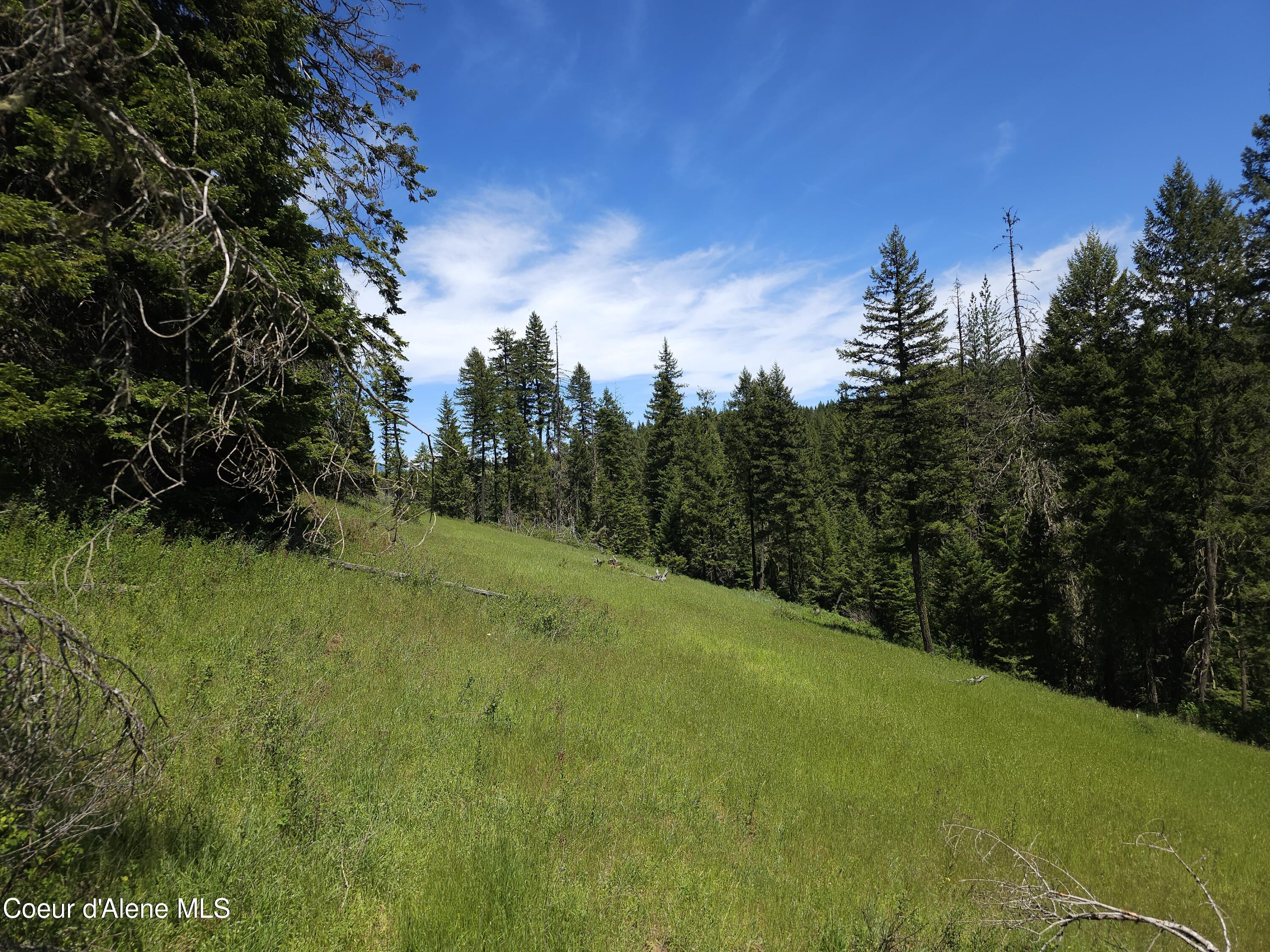 109 N Blue Skies Lane, Liberty Lake, Washington image 20