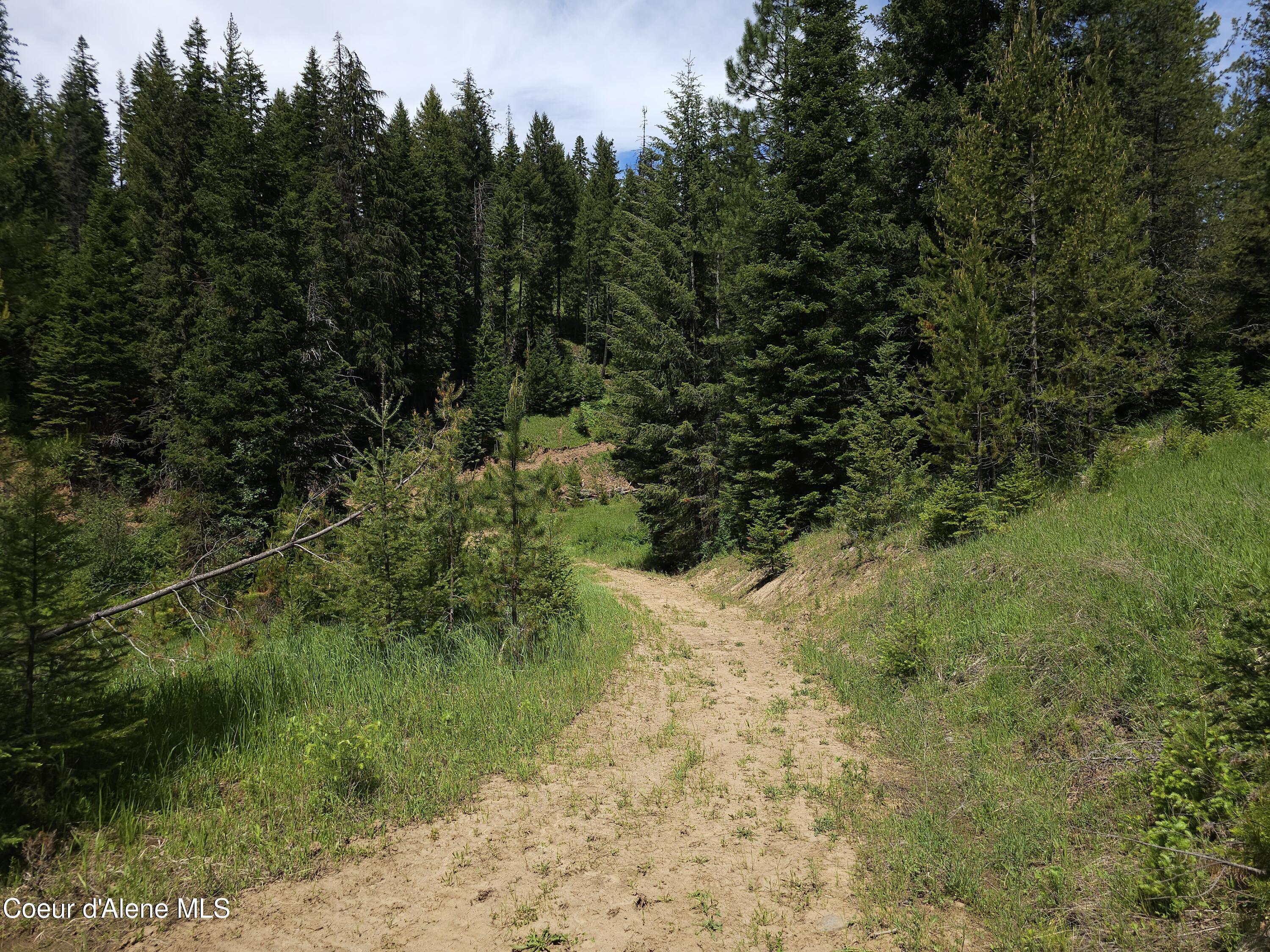 109 N Blue Skies Lane, Liberty Lake, Washington image 5