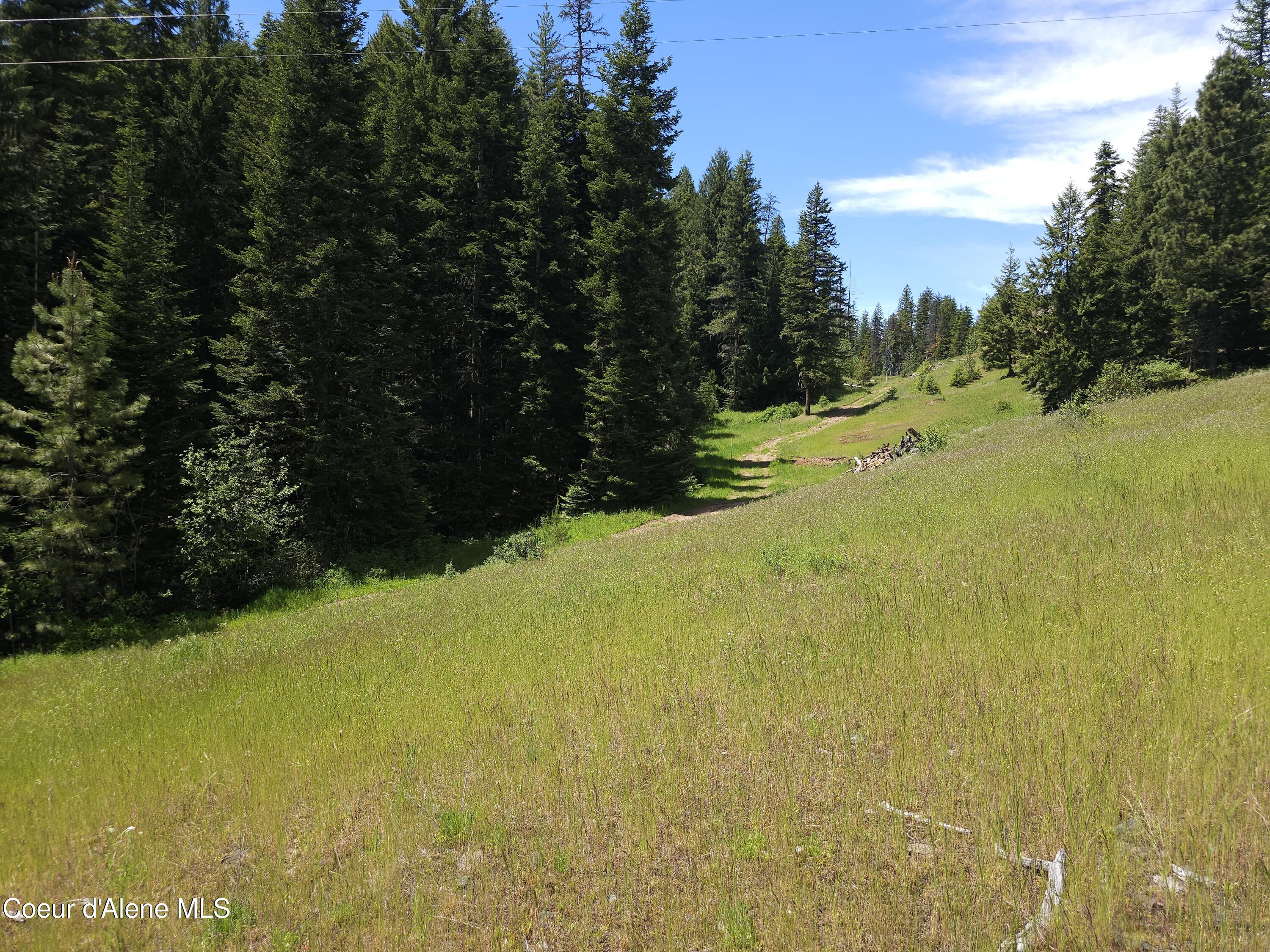 109 N Blue Skies Lane, Liberty Lake, Washington image 15