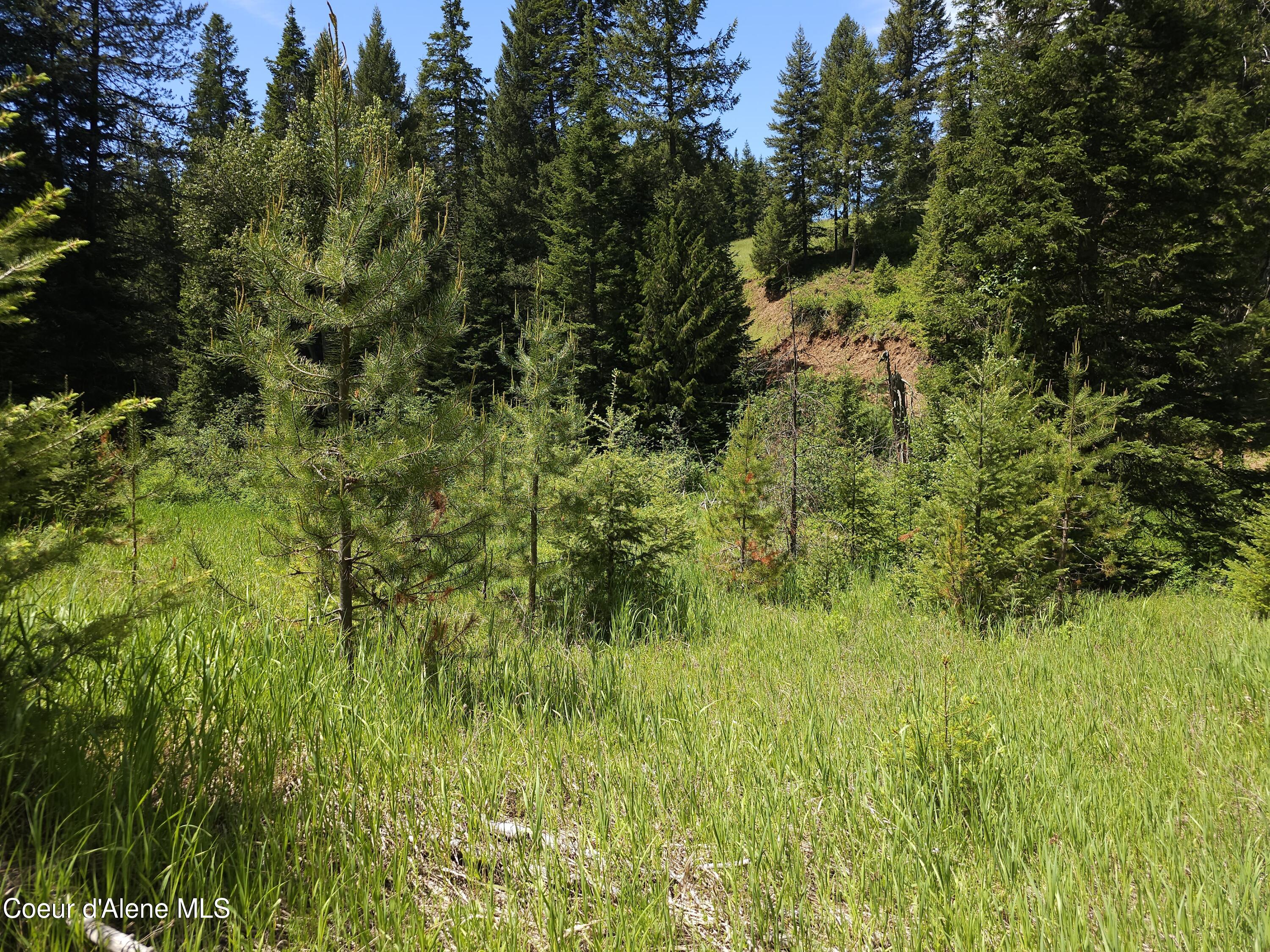 109 N Blue Skies Lane, Liberty Lake, Washington image 7