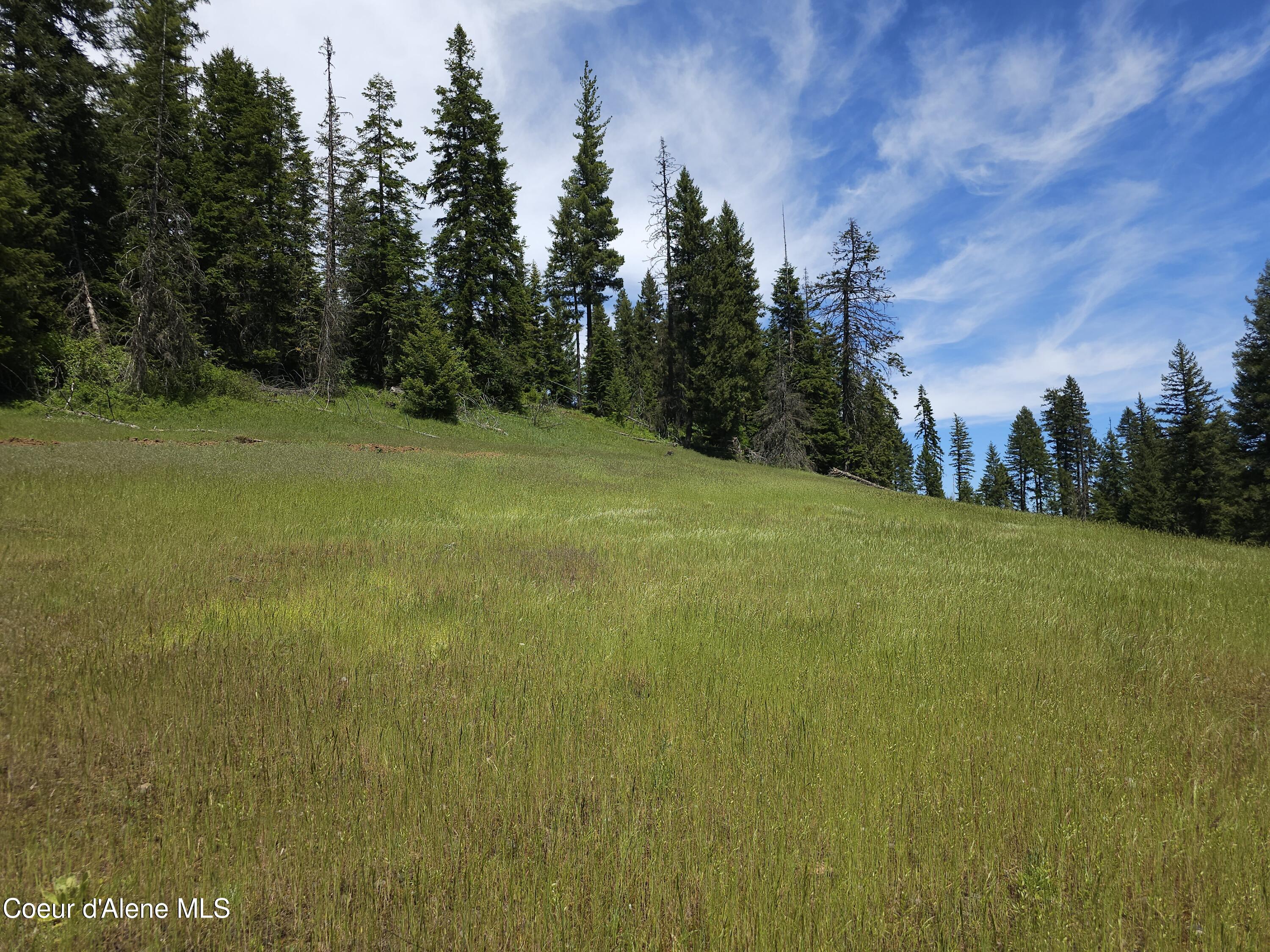 109 N Blue Skies Lane, Liberty Lake, Washington image 10