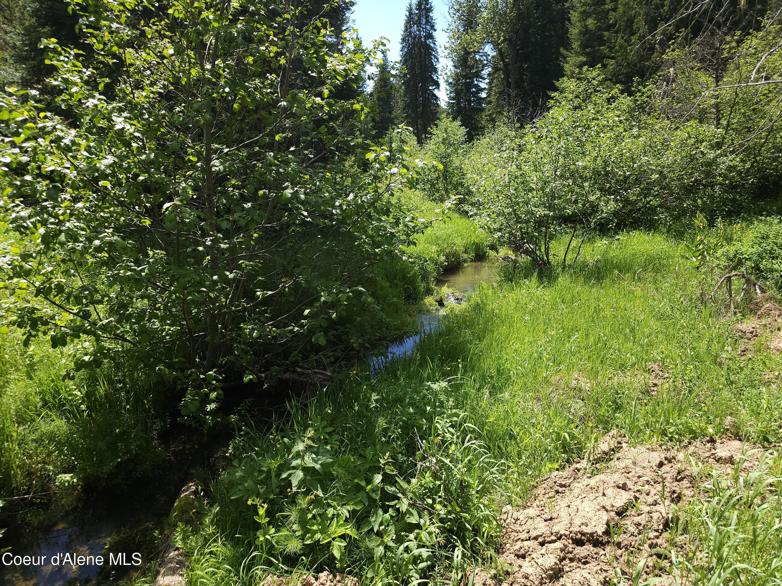 109 N Blue Skies Lane, Liberty Lake, Washington image 8