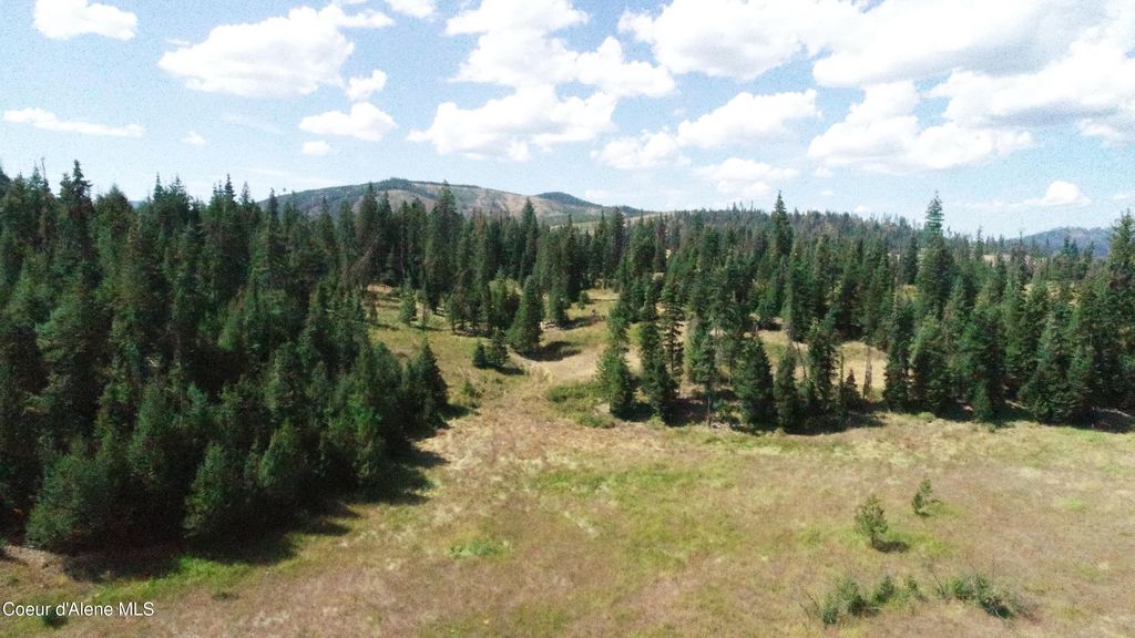 Photo of NNA Carpenter Creek Creek, Fernwood, ID 83830 (MLS # 26-3031)