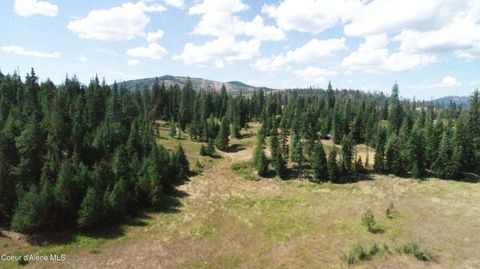 Vacant Land For Sale - NNA Carpenter Creek Creek<br/> Benewah County, Fernwood, ID 83830