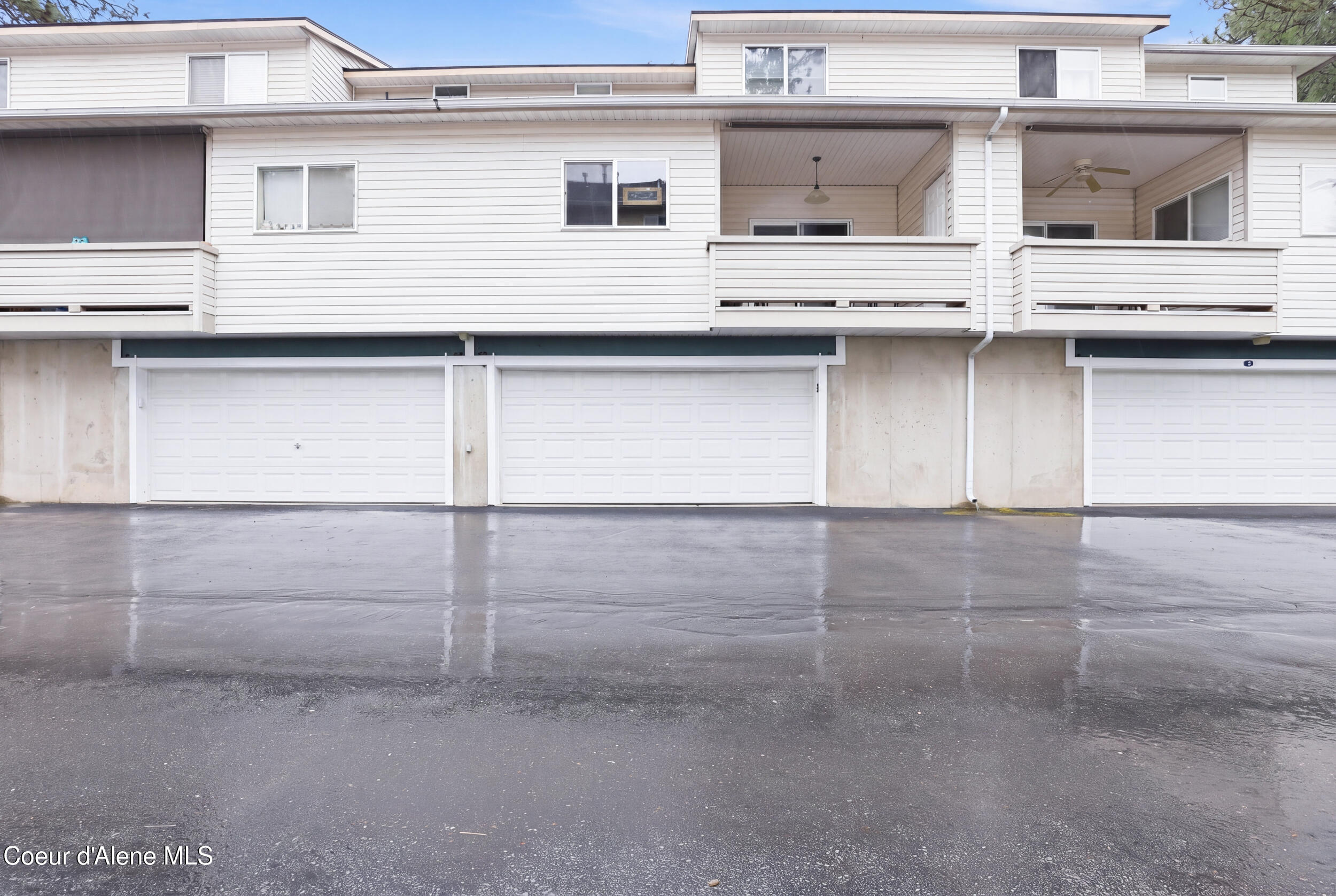 3654 Scotch Pine #2