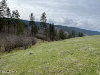 NKA Sunnyside Bench Rd, Lenore, Idaho image 1