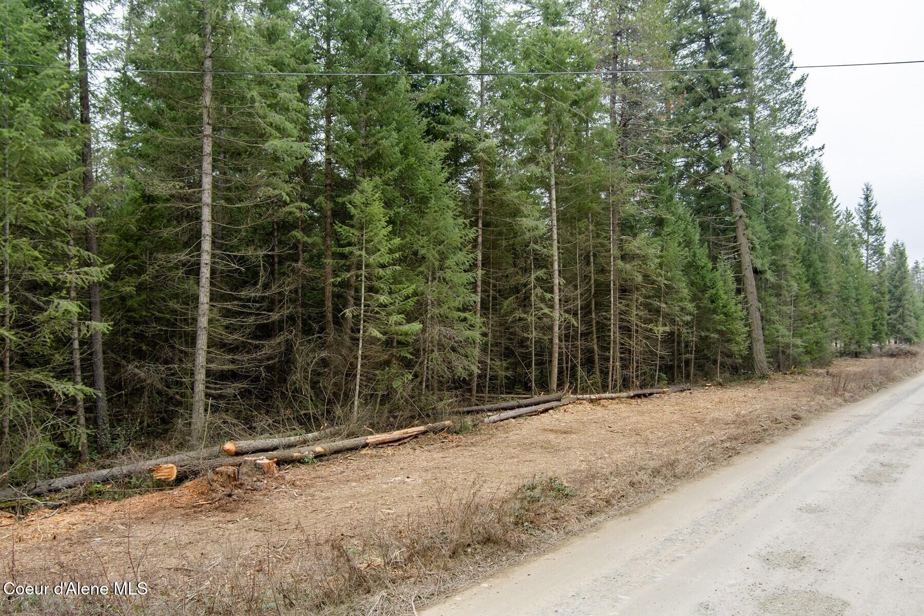 NNA N Roberts Rd, Athol, Idaho image 4