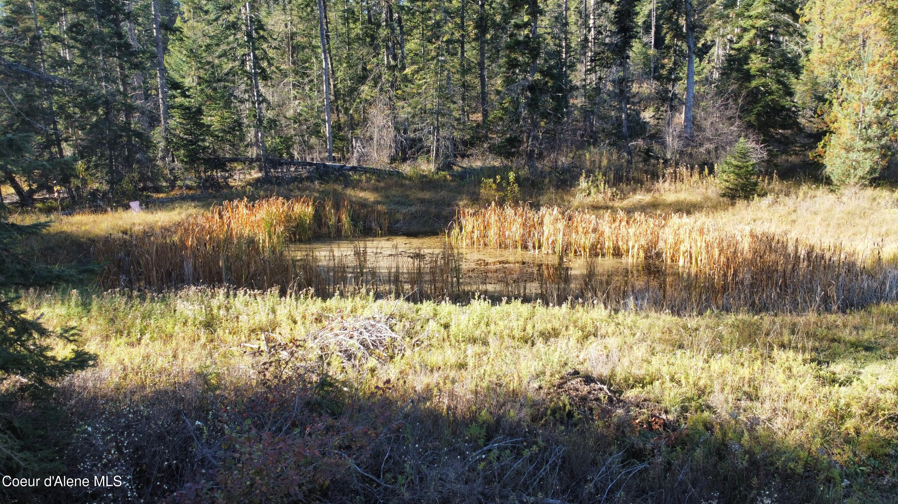 1428 W Elkhorn Meadows, Fernwood, Alaska image 27