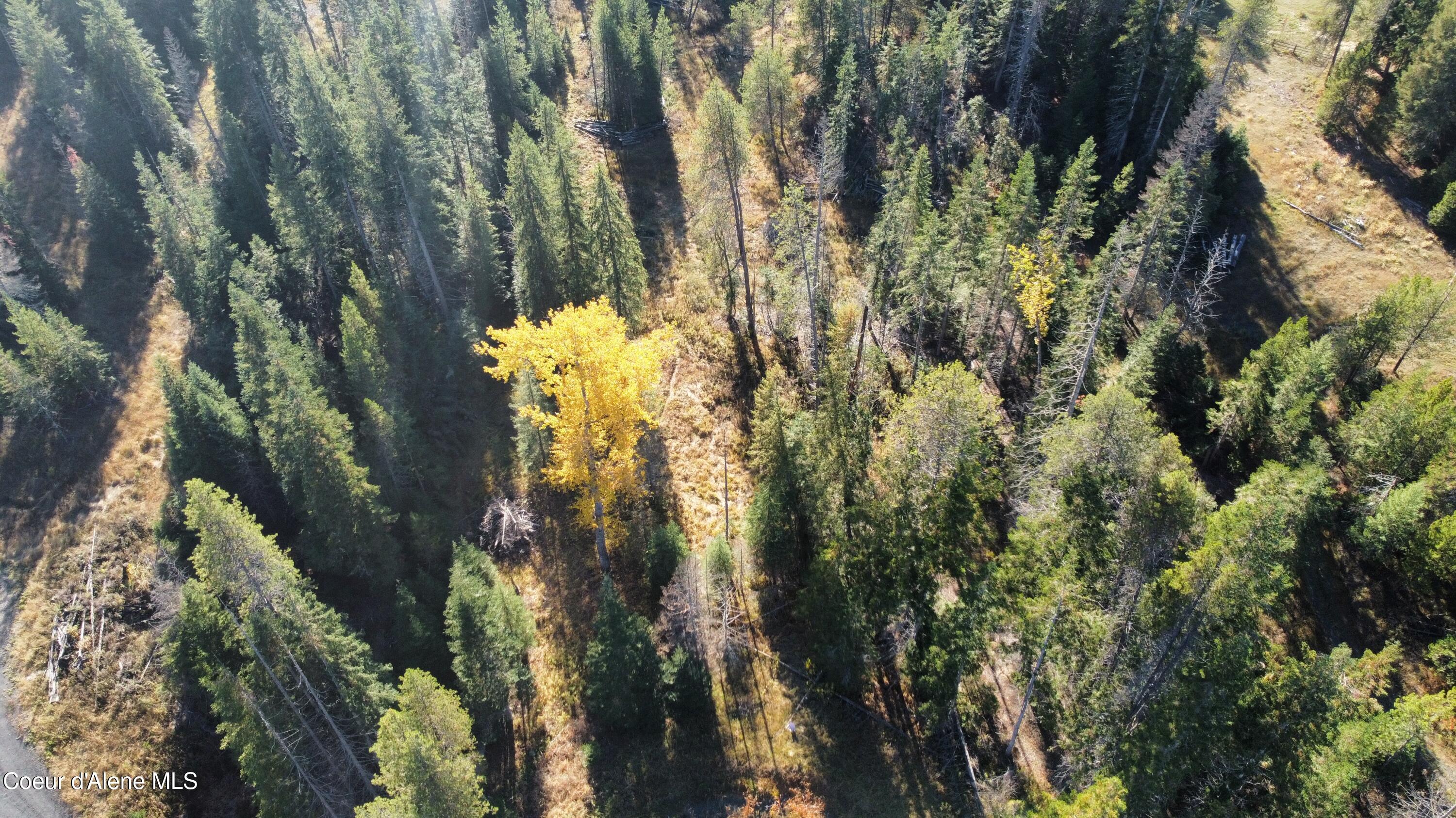 1428 W Elkhorn Meadows, Fernwood, Alaska image 29