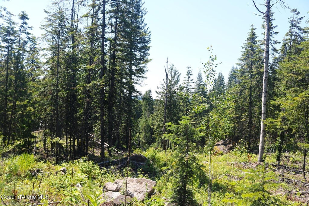 Photo of 2110 Mushroom Kingdom, Sandpoint, ID 83864 (MLS # 26-8392)