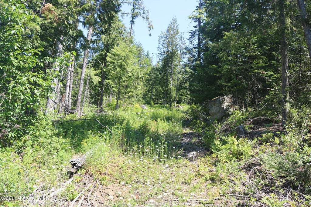 Photo of 2110 Mushroom Kingdom, Sandpoint, ID 83864 (MLS # 26-8392)