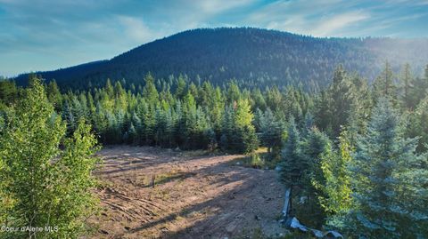 Vacant Land For Sale - 115 Acadia Ln<br/> Boundary County, Bonners Ferry, ID 83805