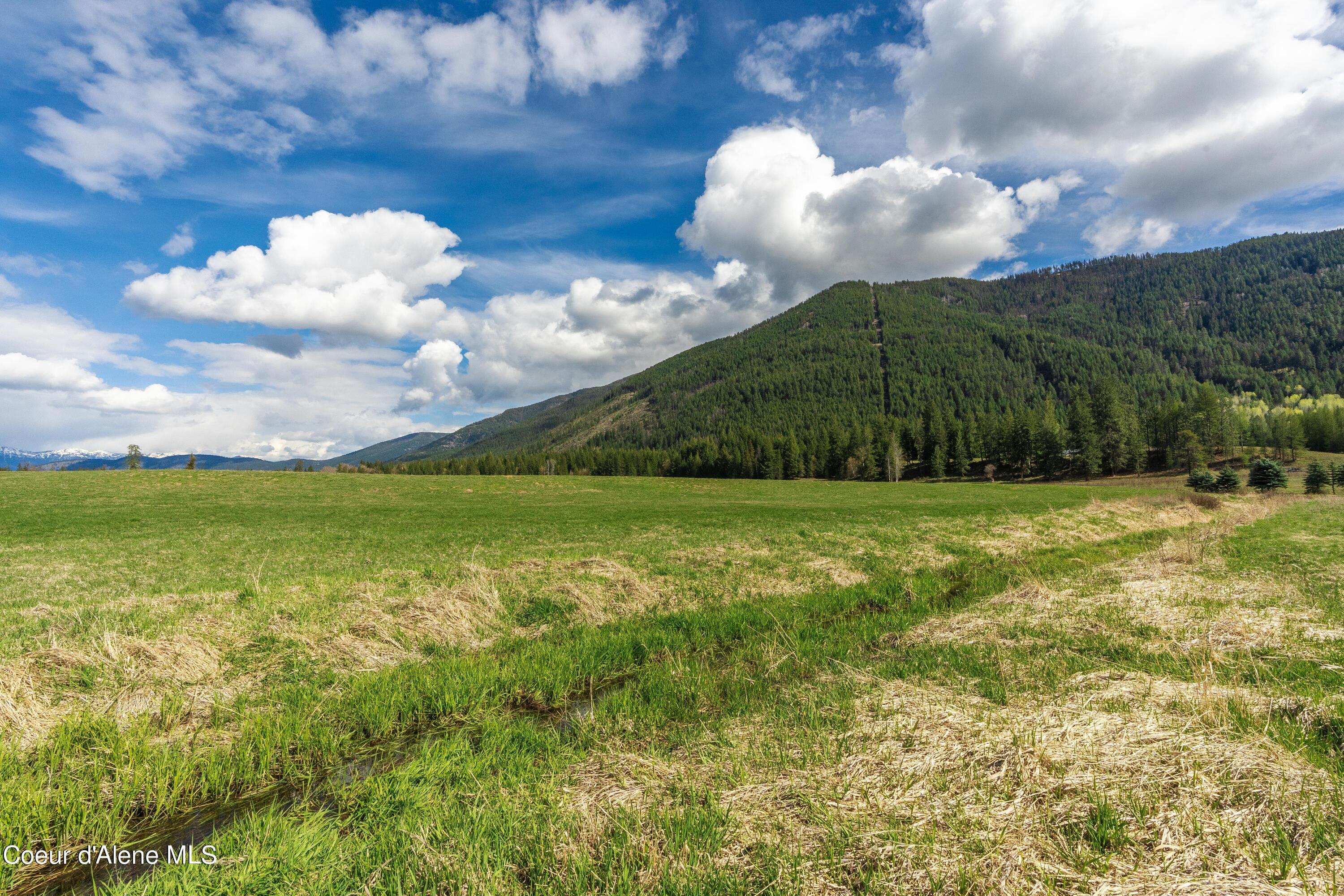 NNA Paradise Valley, Bonners Ferry, Idaho image 14